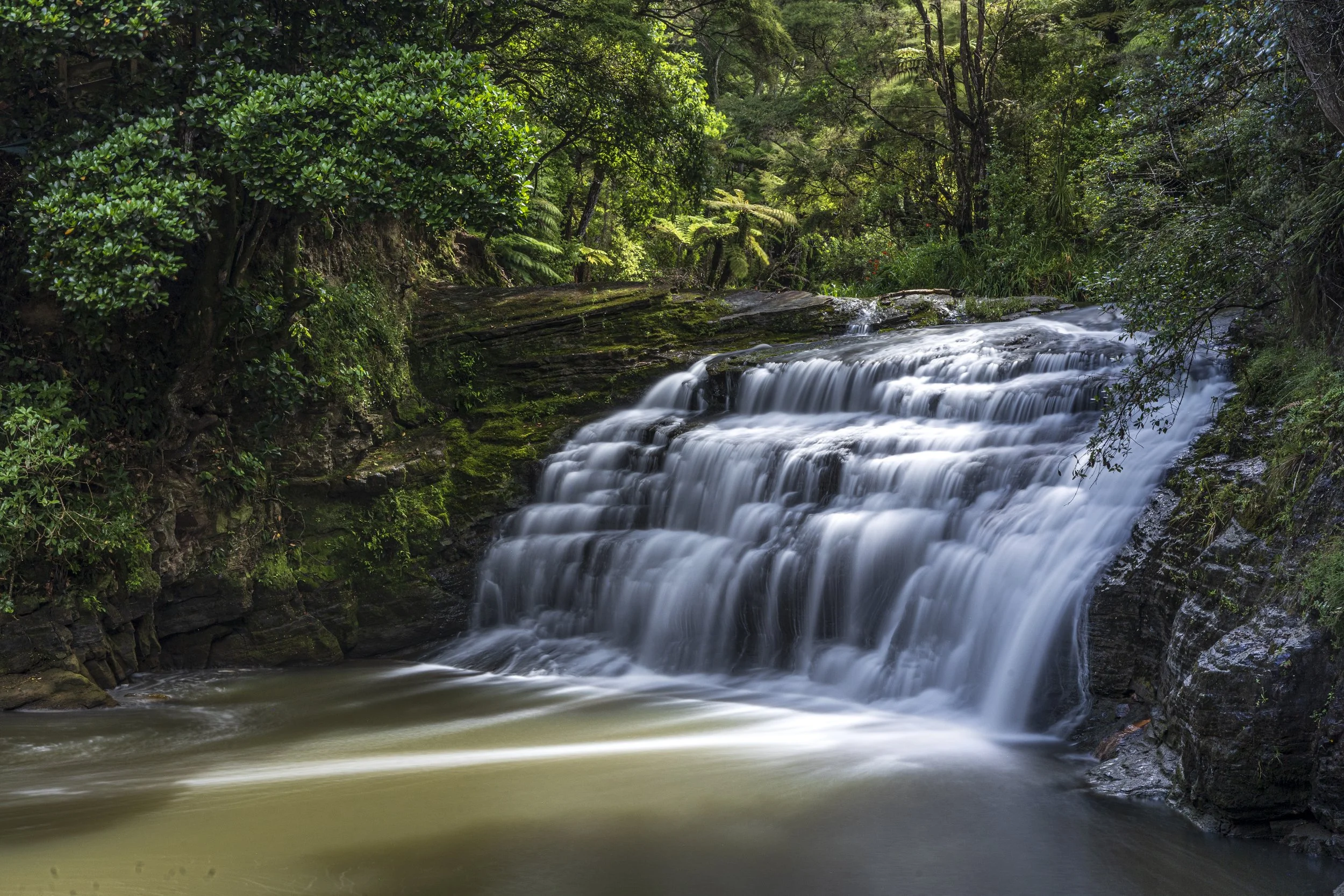 Lucas Creek Albany-11.jpg