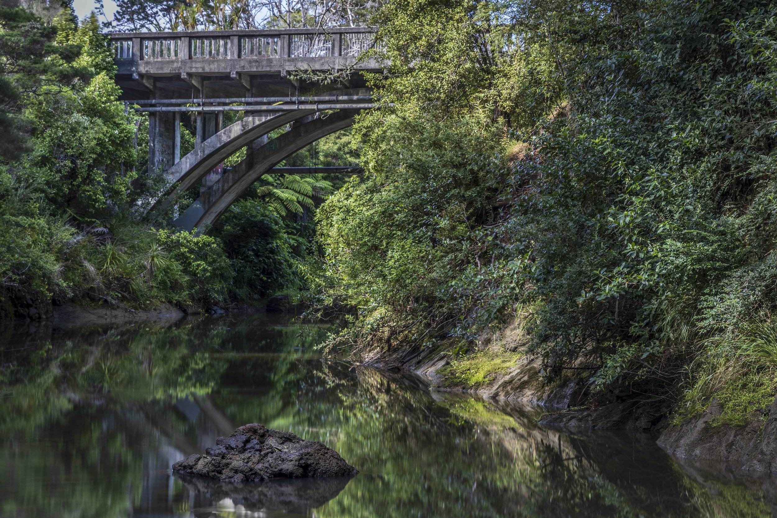 Lucas Creek Jan 2026.jpg