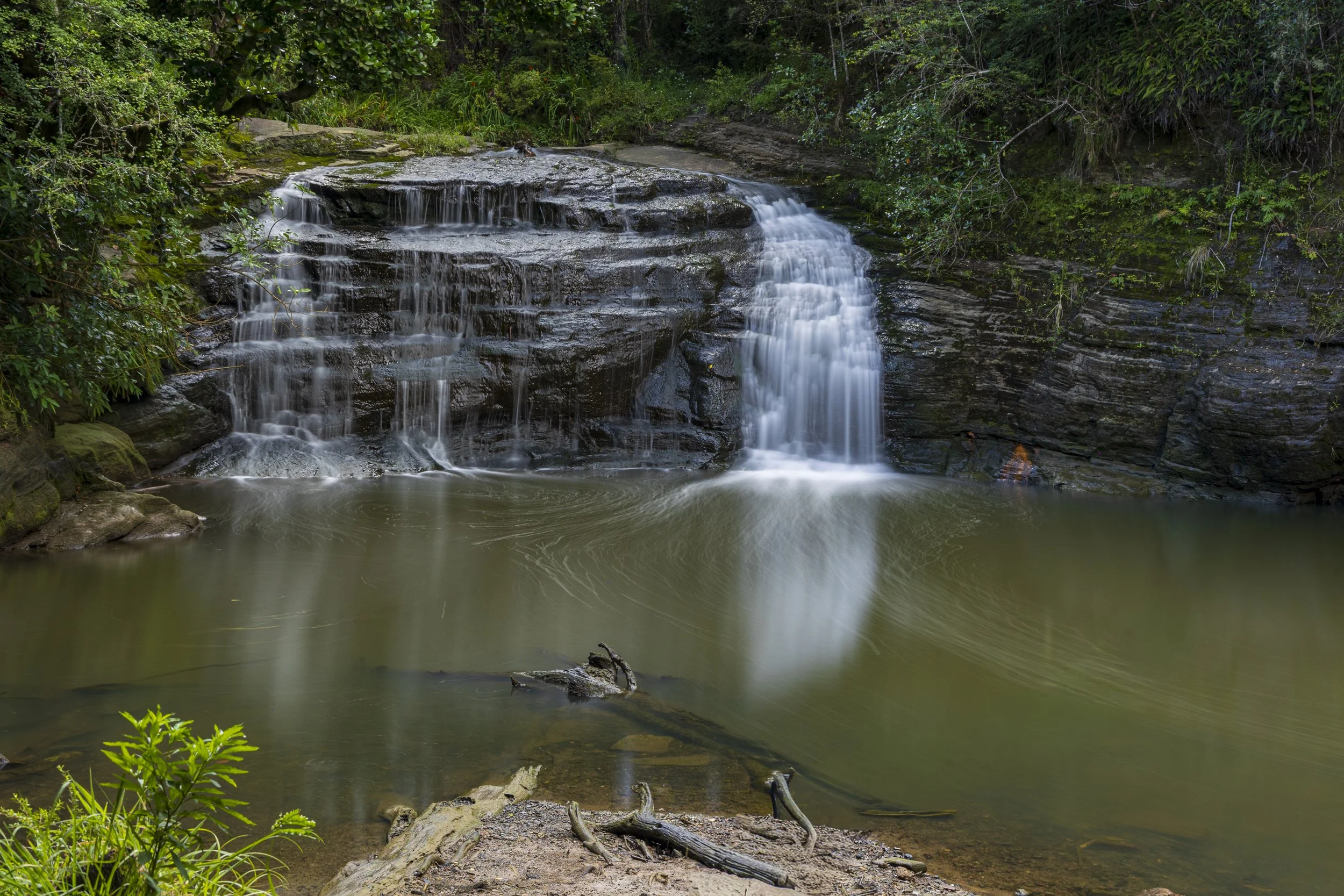 Lucas Creek Jan 2026-6.jpg