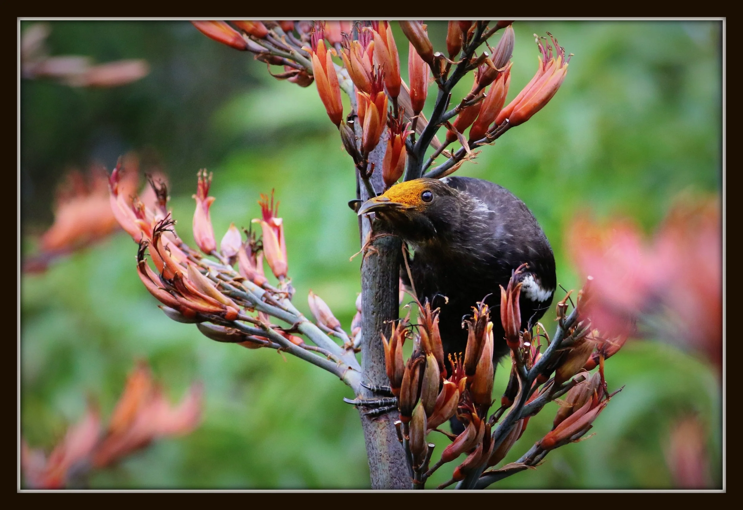 Tui Jan 20 look 1.jpg