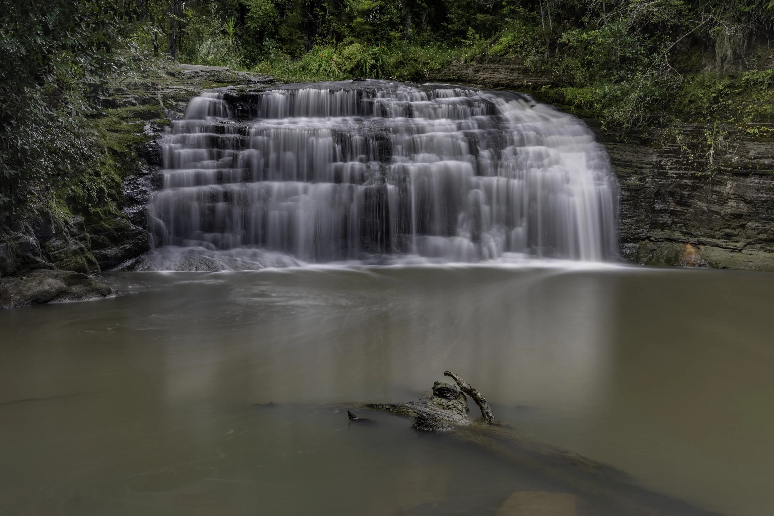 Lucas Creek Jan 4 2026.jpg