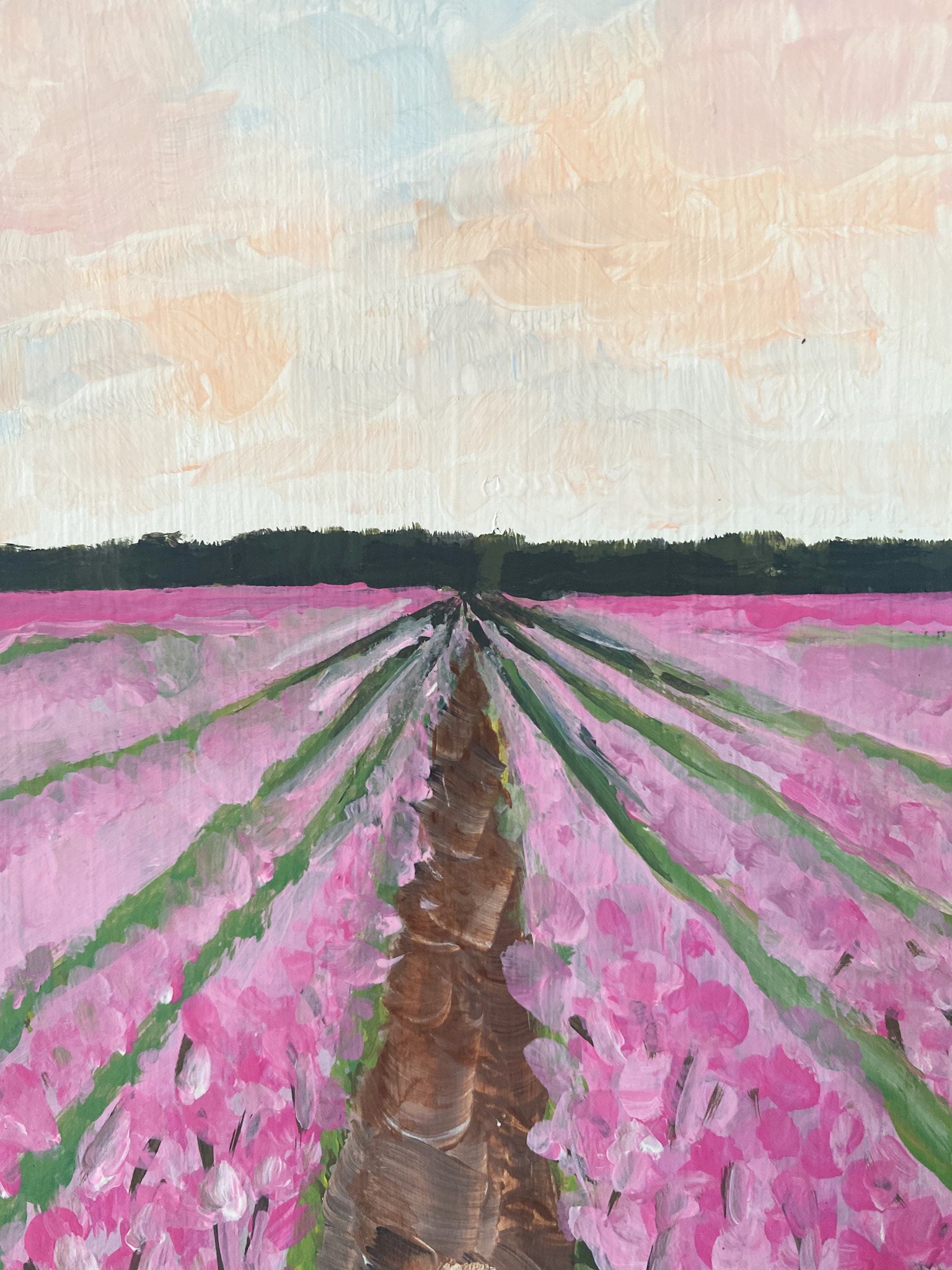 Stephanie-hoefnagels-rows-of-pink-1.jpg