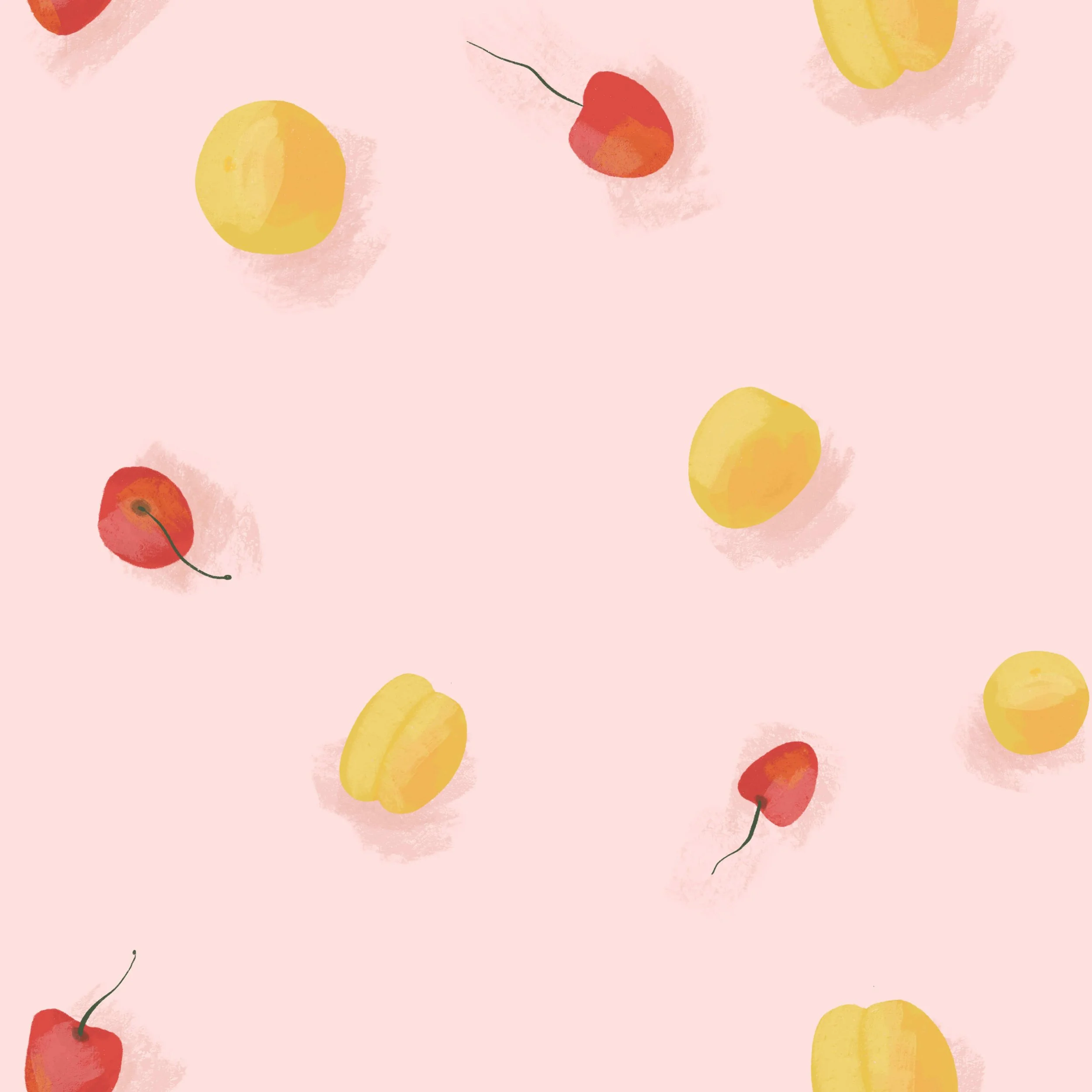 Cherries_And_Clementines_By_Stephanie_Hoefnagels.jpg