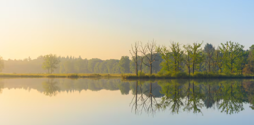 How to Choose a Ketamine Provider in Westchester and Fairfield County