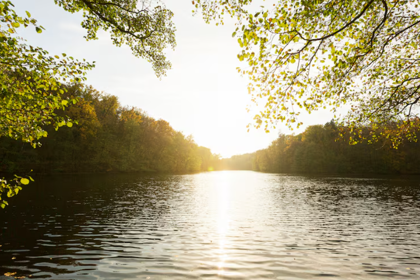 Psychedelic Therapy in Greenwich: A Local's Guide to What's Available