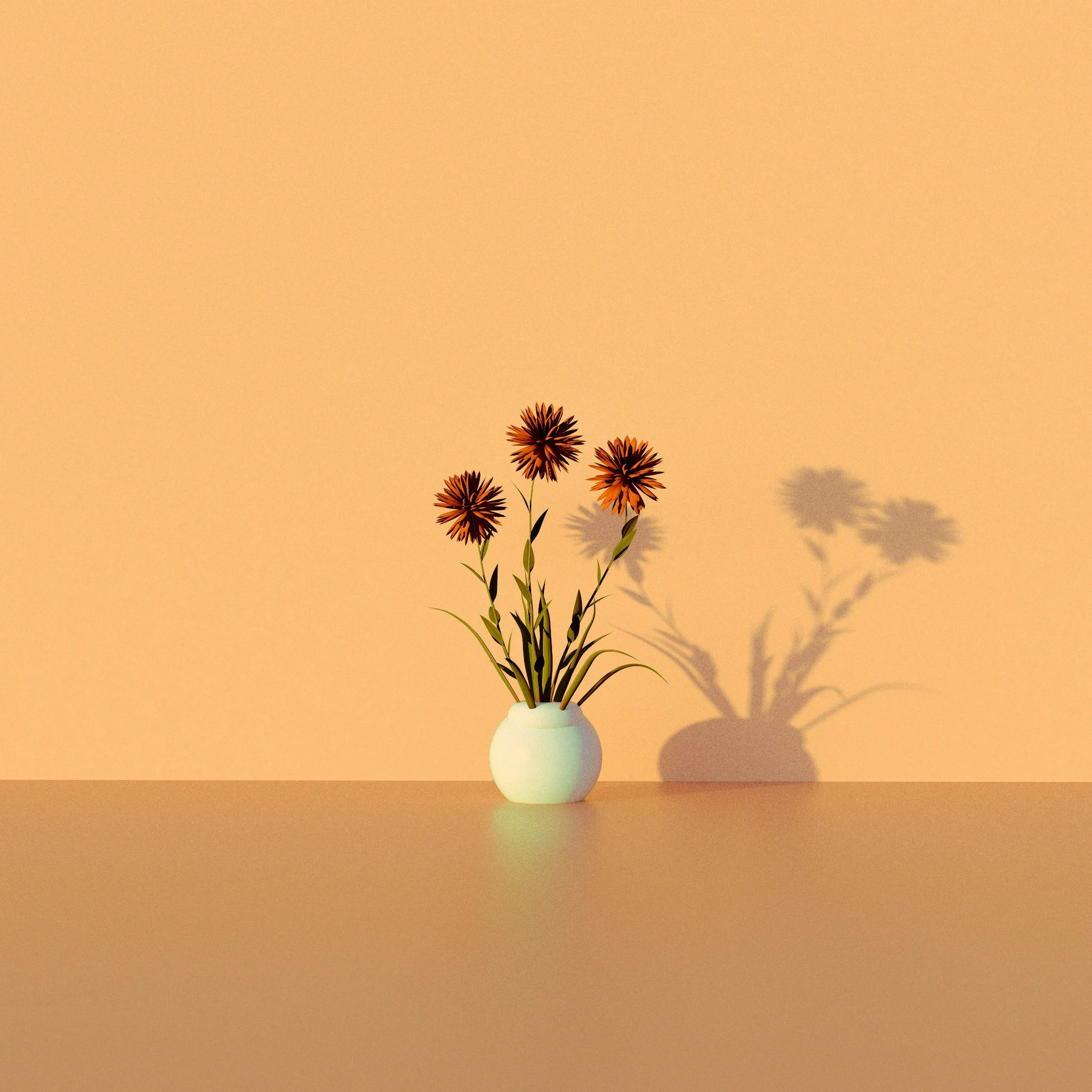 rrvviiii-EVEHo6gWzSM-unsplash.jpg