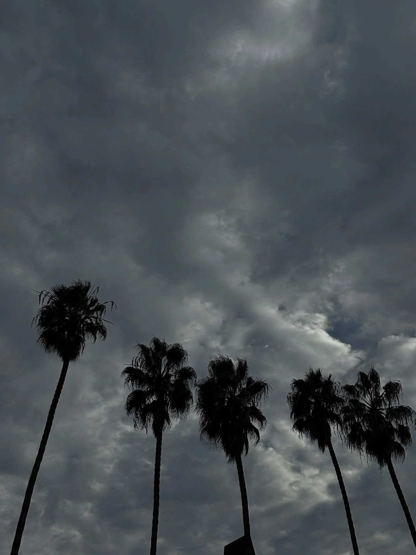 november crumbs lately