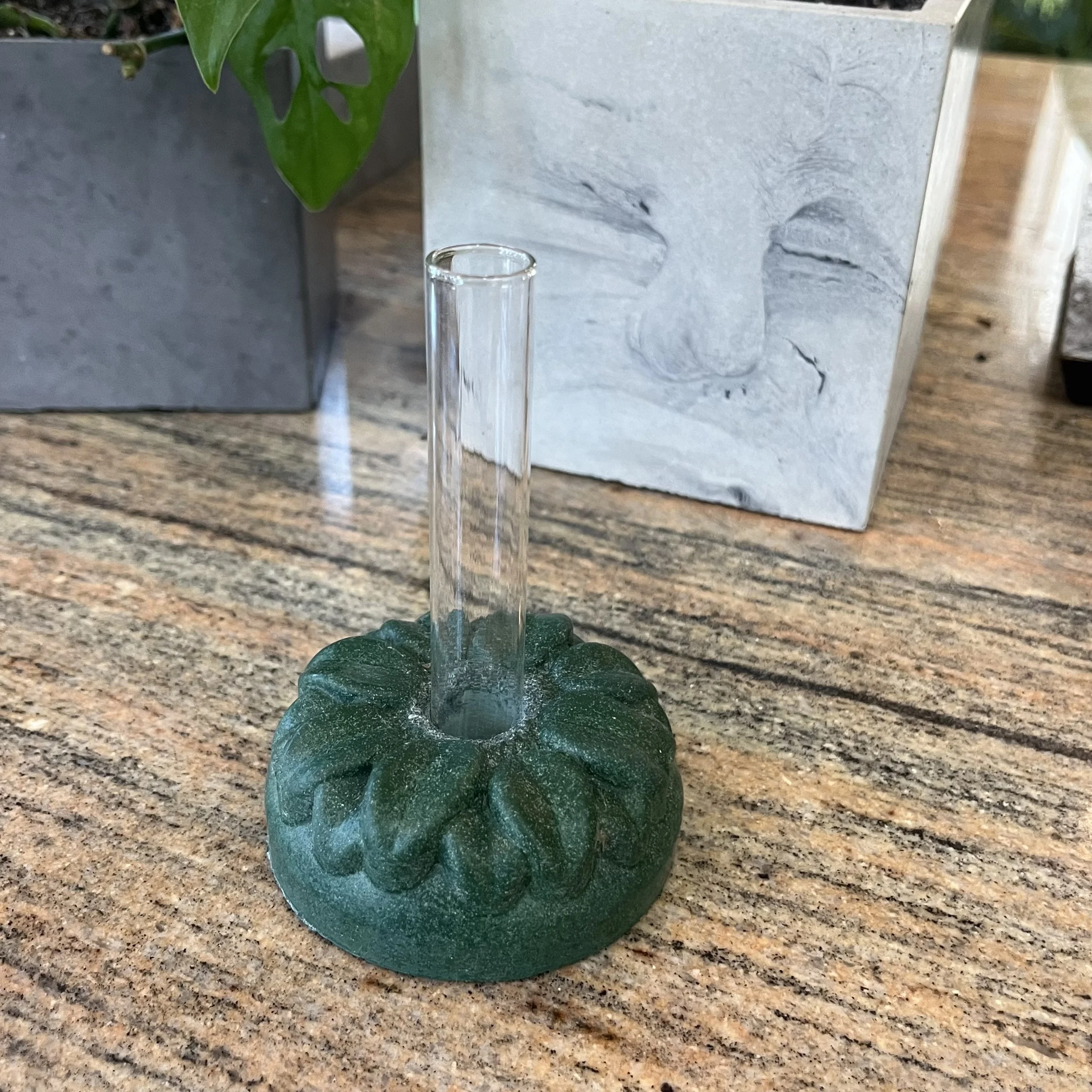 green concrete sunflower propagation block.jpeg