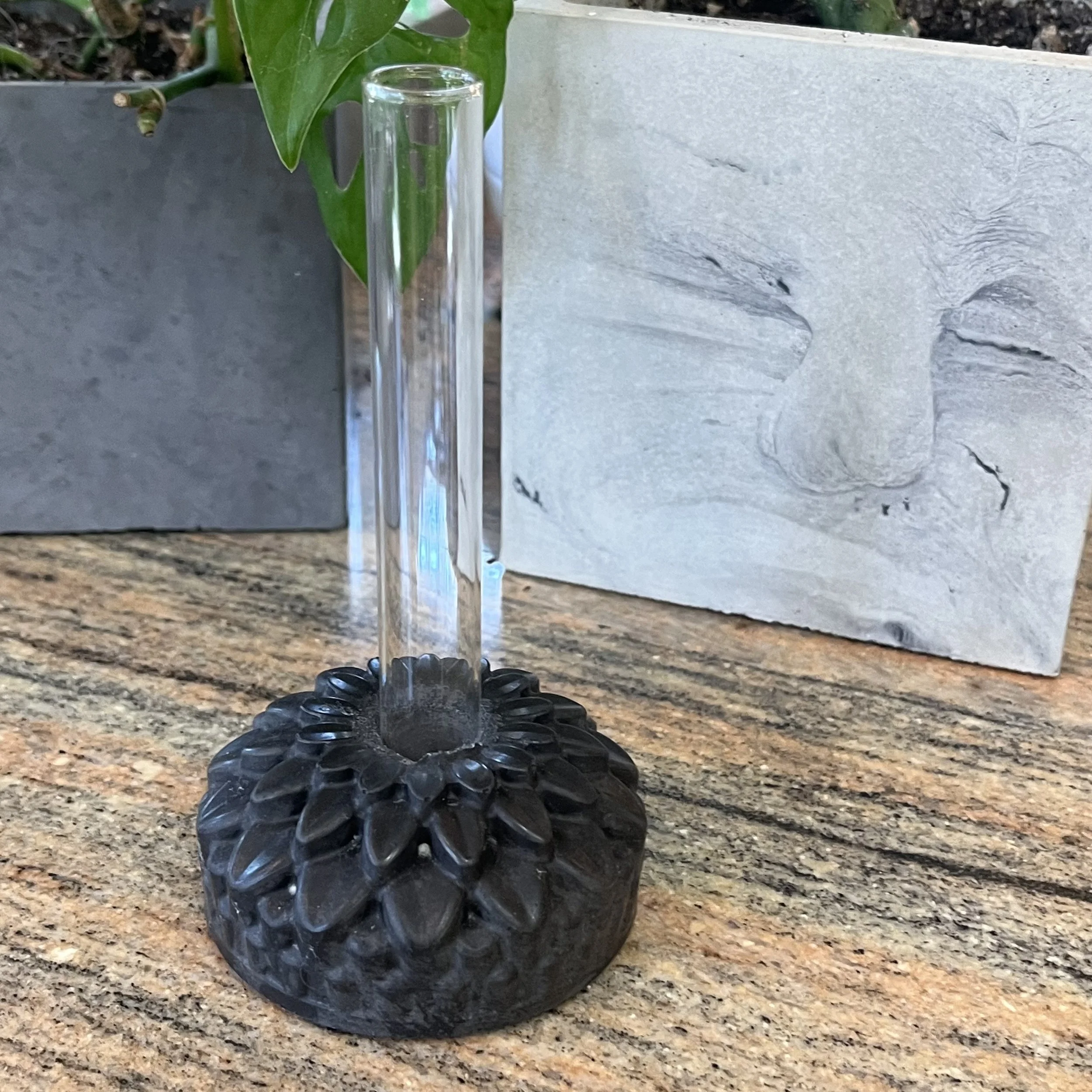dark grayconcretepetunia propagation block.jpeg