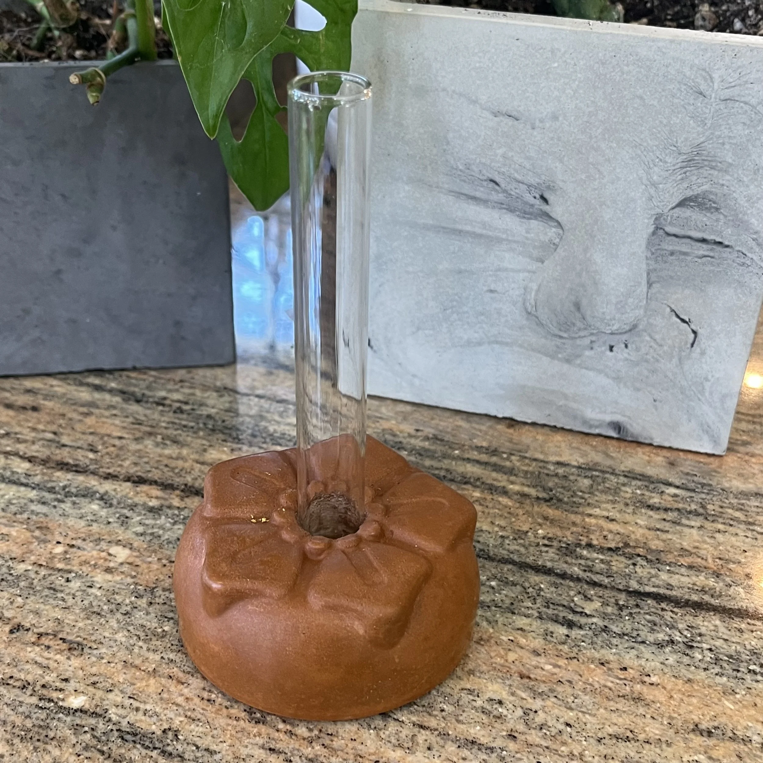 orange concrete petunia propagation block.jpeg