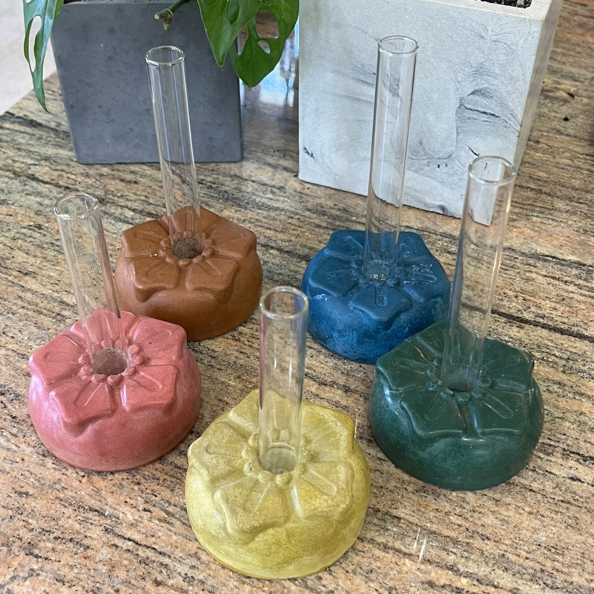 petunia propagation block