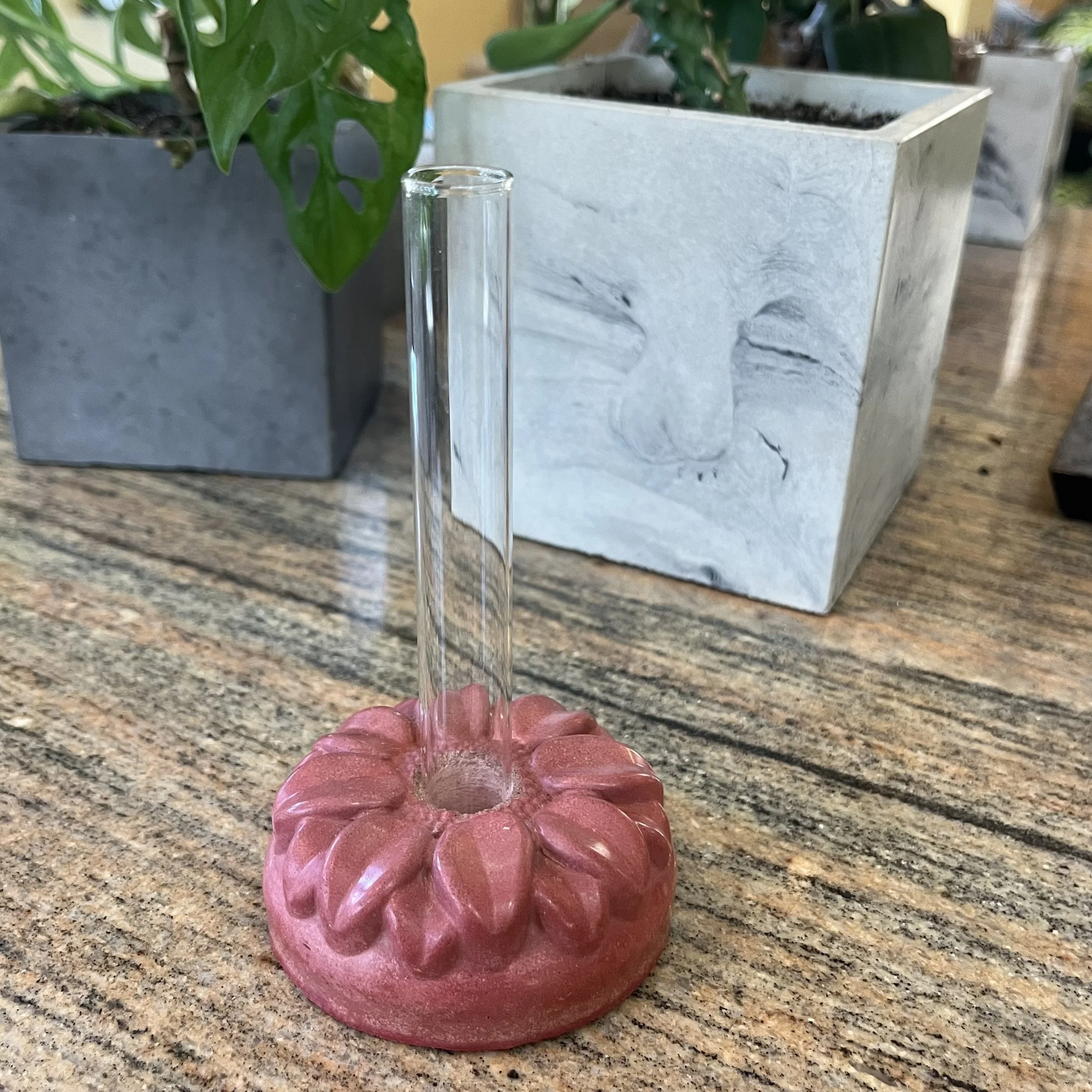 pink concrete sunflower propagation block.jpeg