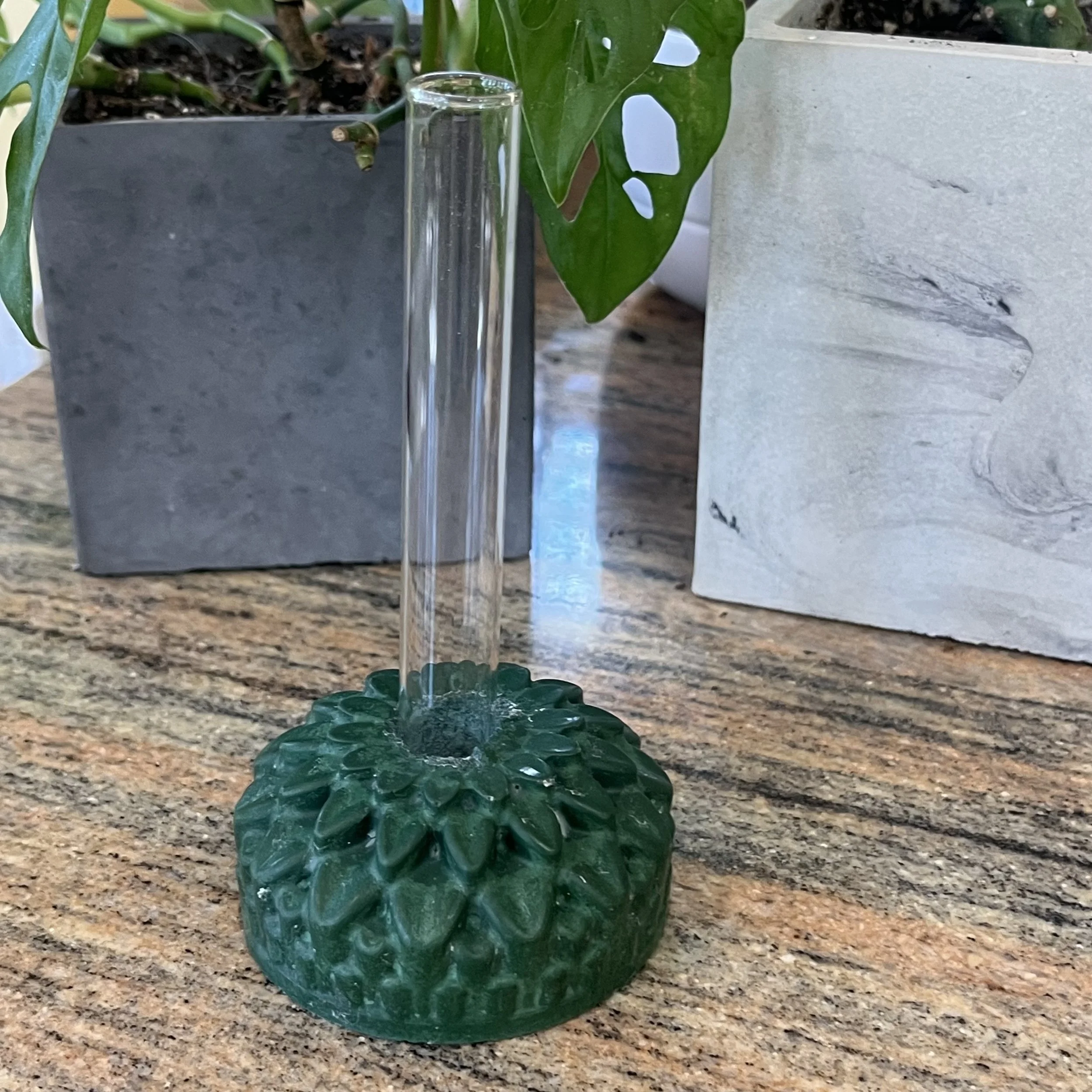 green concrete zinnia propagation block.jpeg