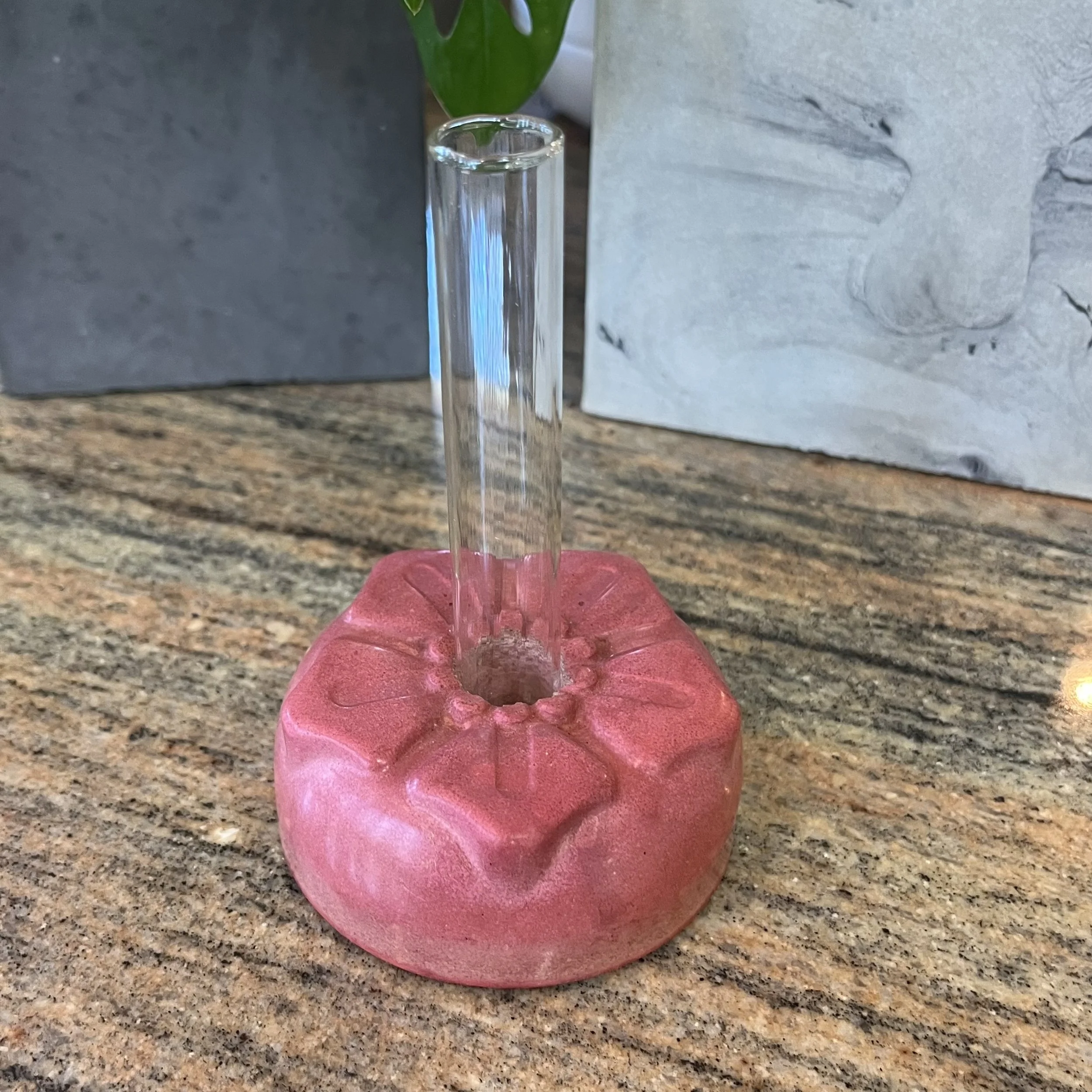pink concrete petunia propagation block.jpeg