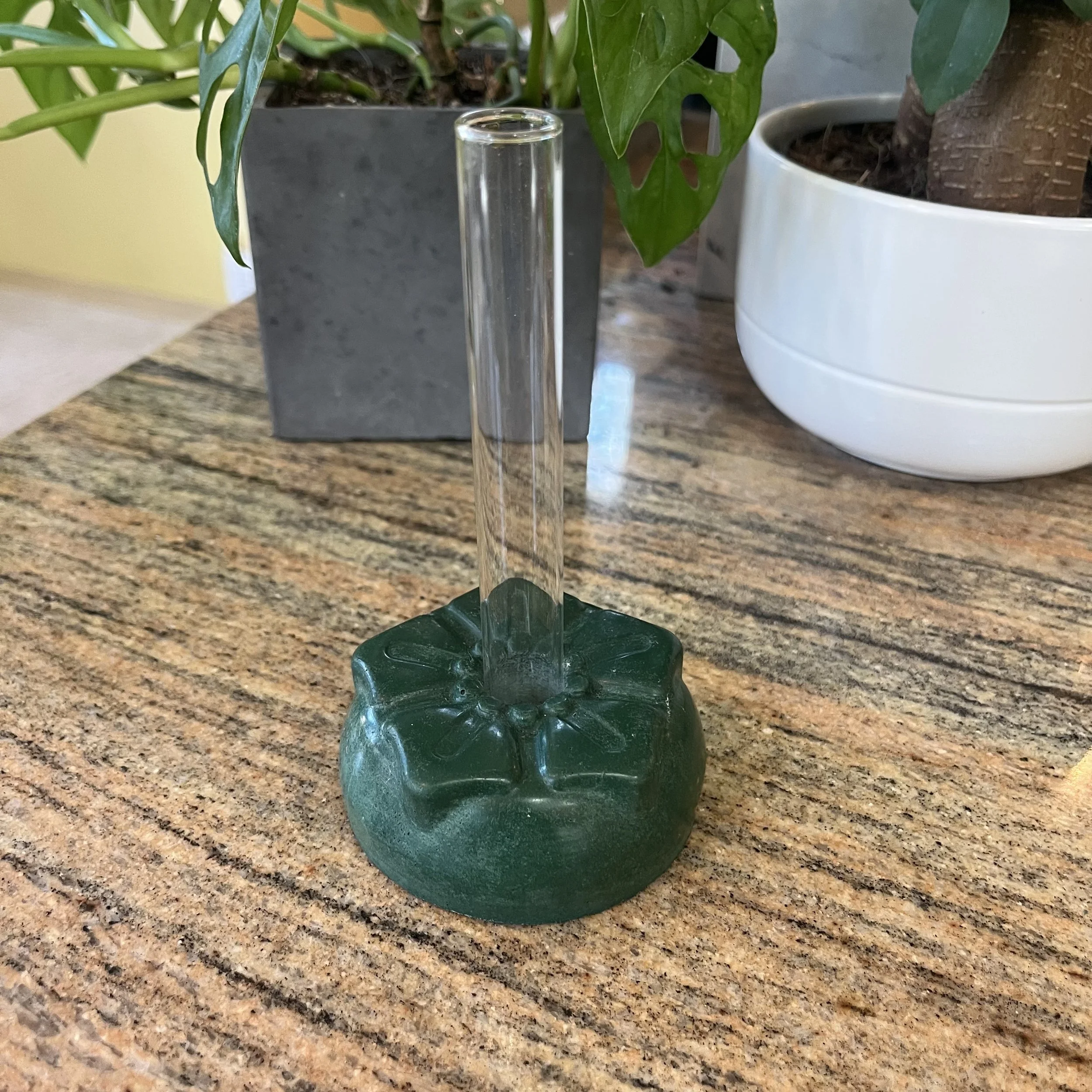 green concrete petunia propagation block.jpeg