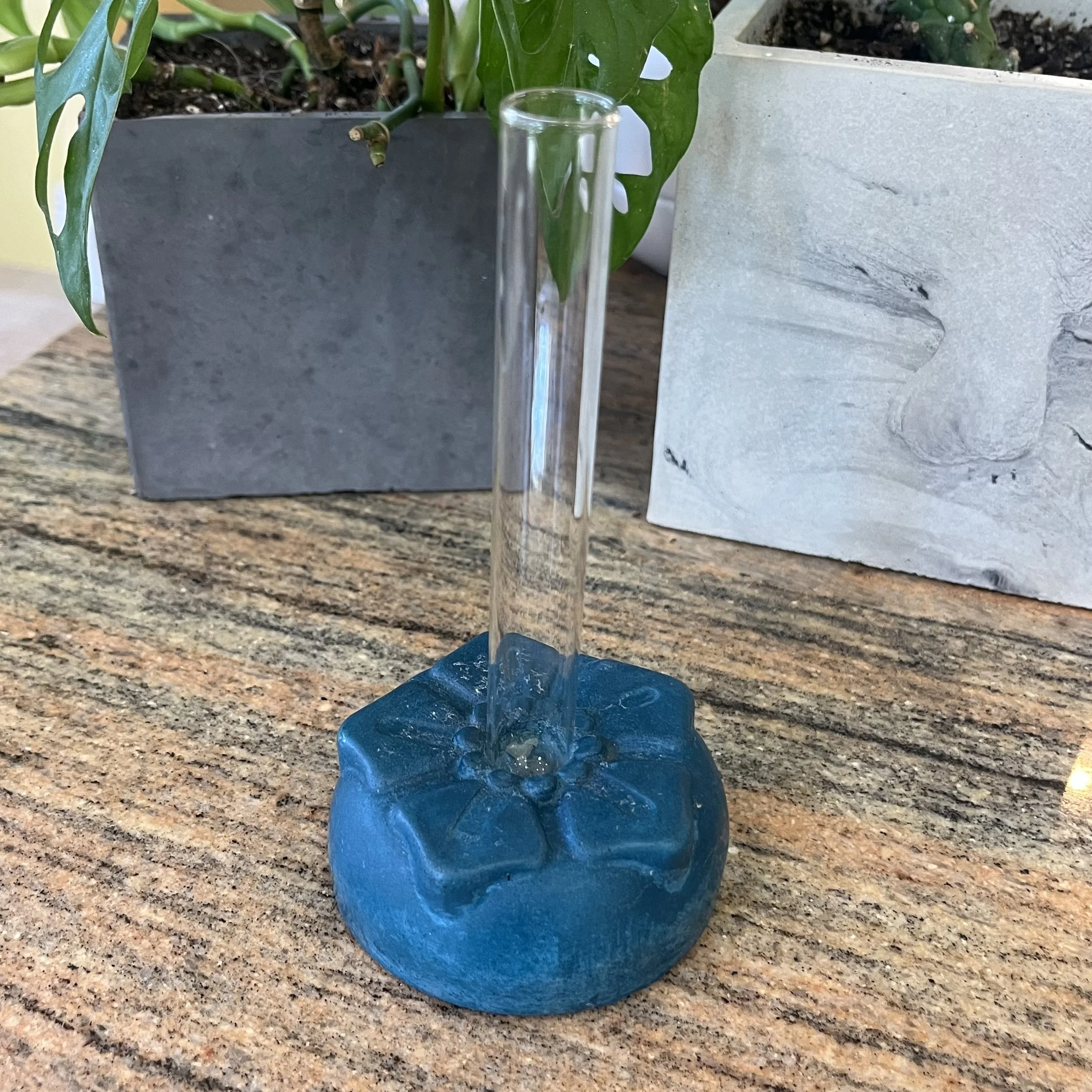 blue concrete petunia propagation block.jpeg