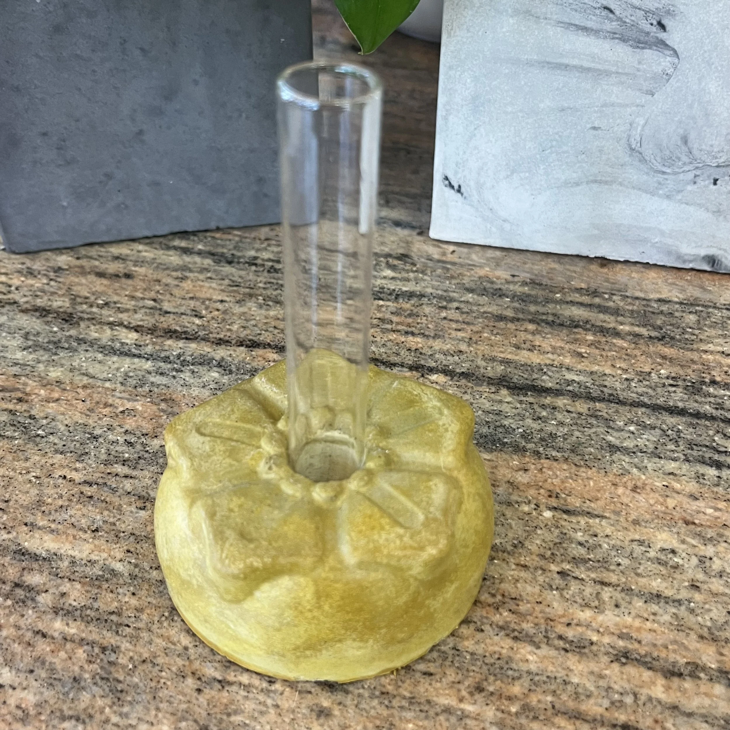 yellow concrete petunia propagation block.jpeg