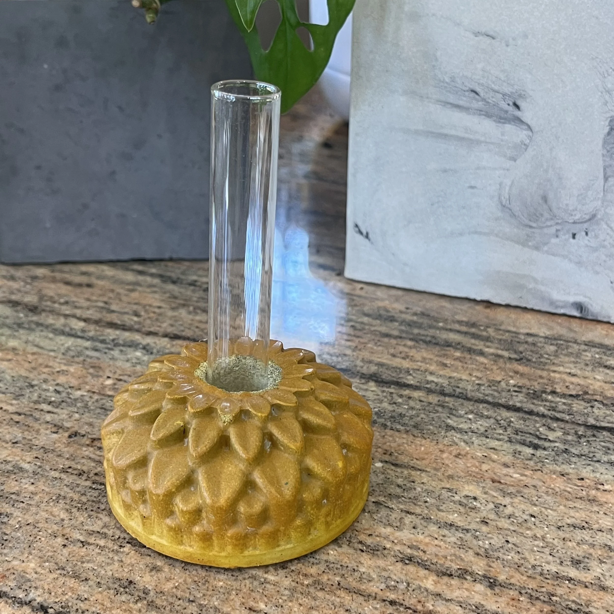 yellow concrete zinnia propagation block.jpeg