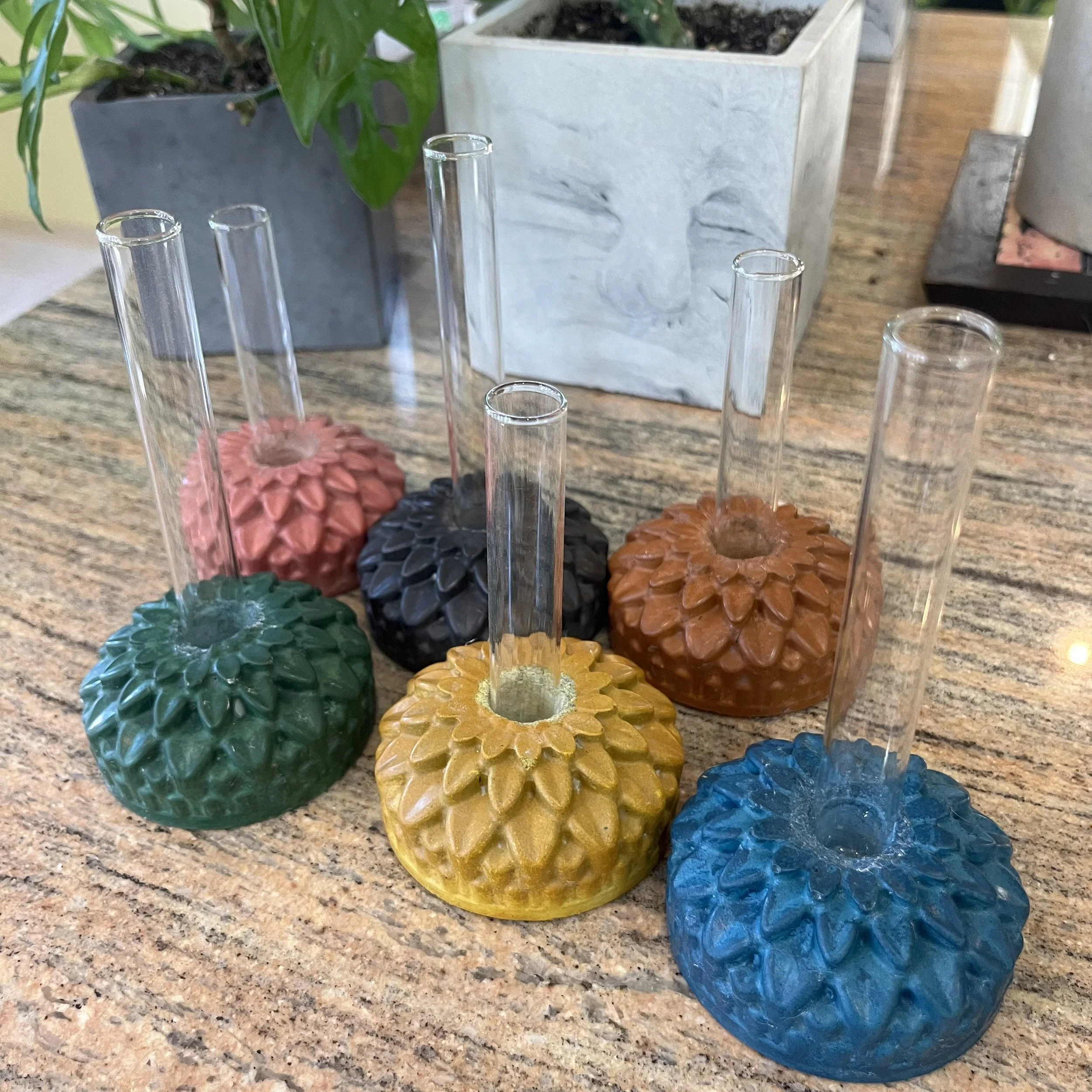 zinnia propagation block