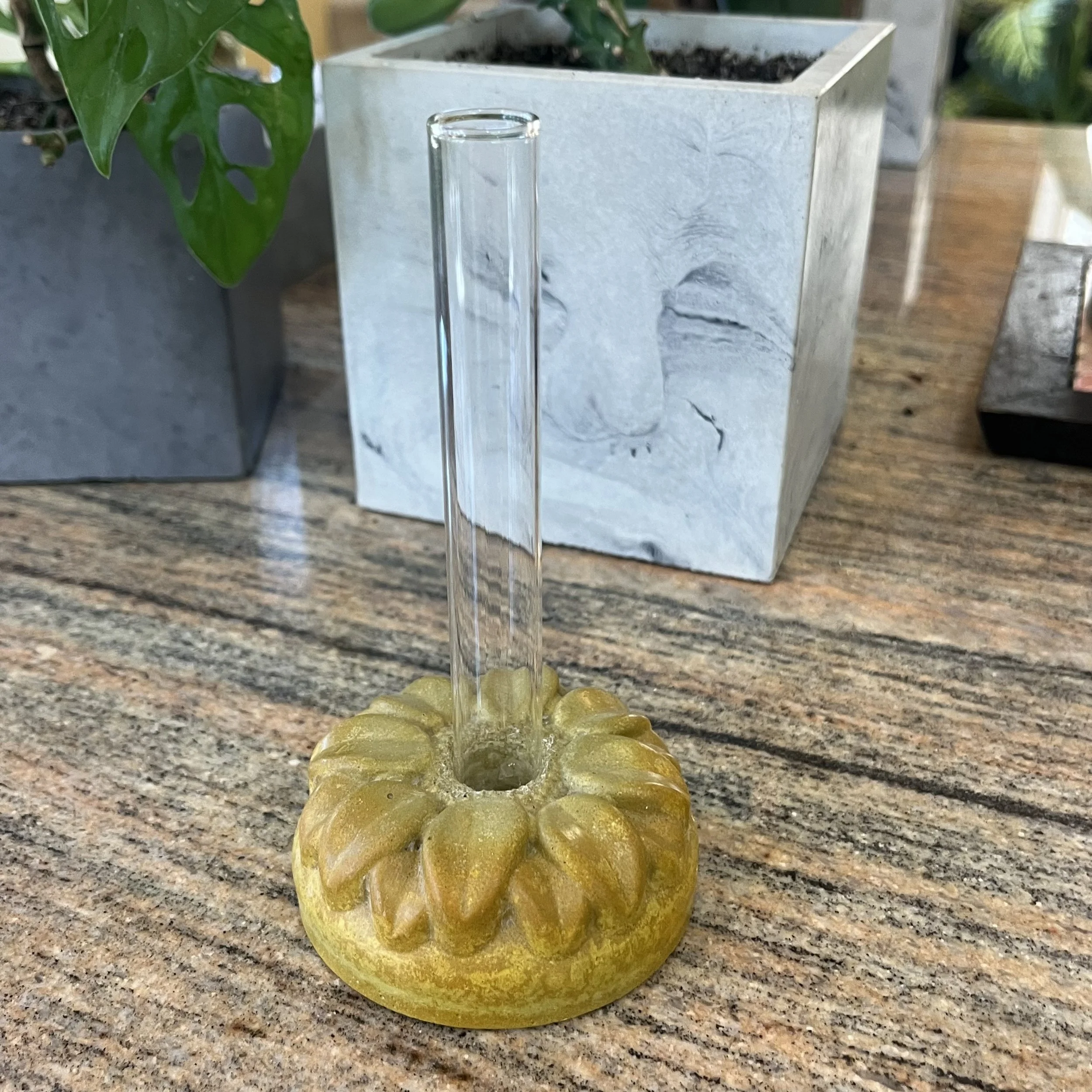 yellow concrete sunflower propagation block.jpeg