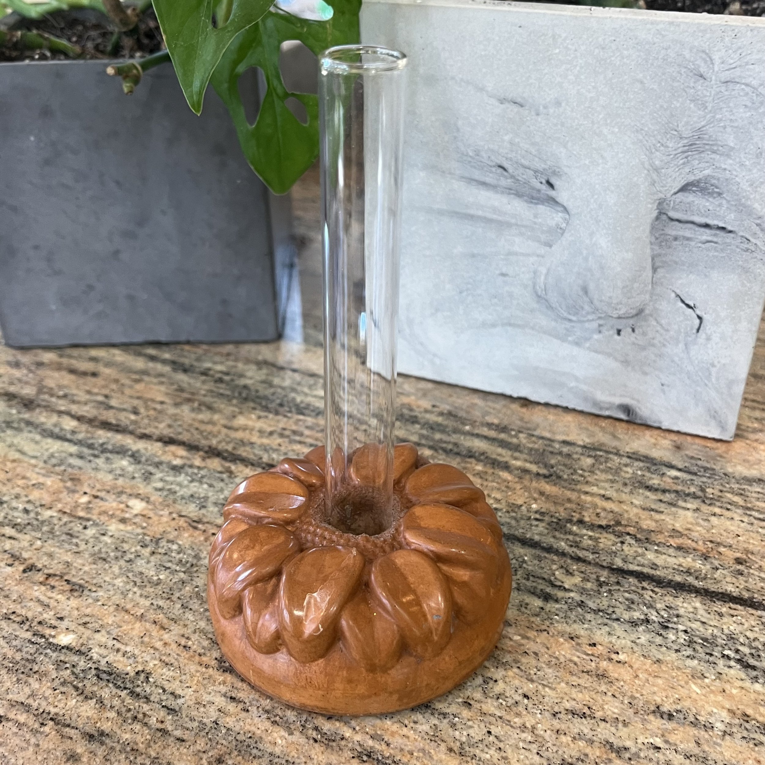 orange concrete sunflower propagation block.jpeg