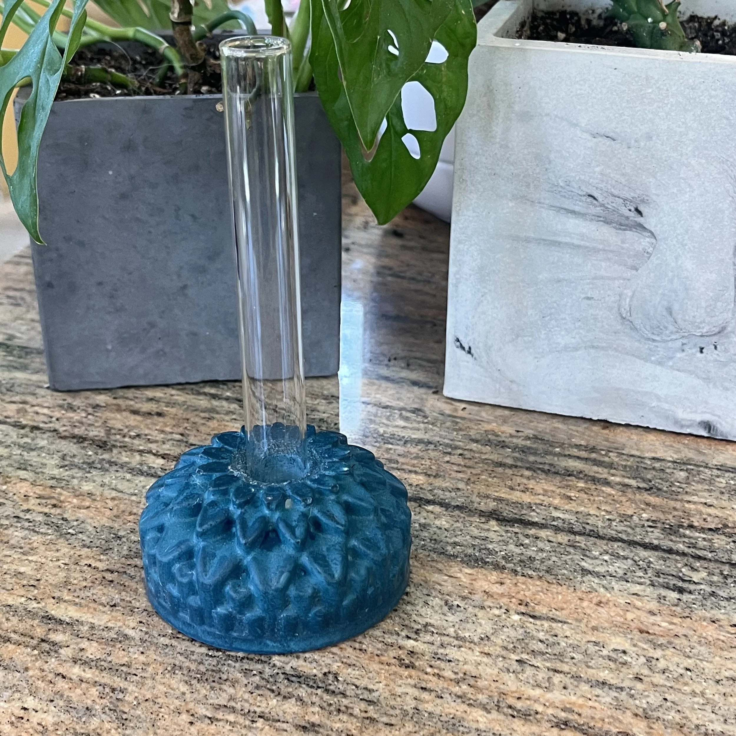 blue concrete zinnia propagation block.jpeg