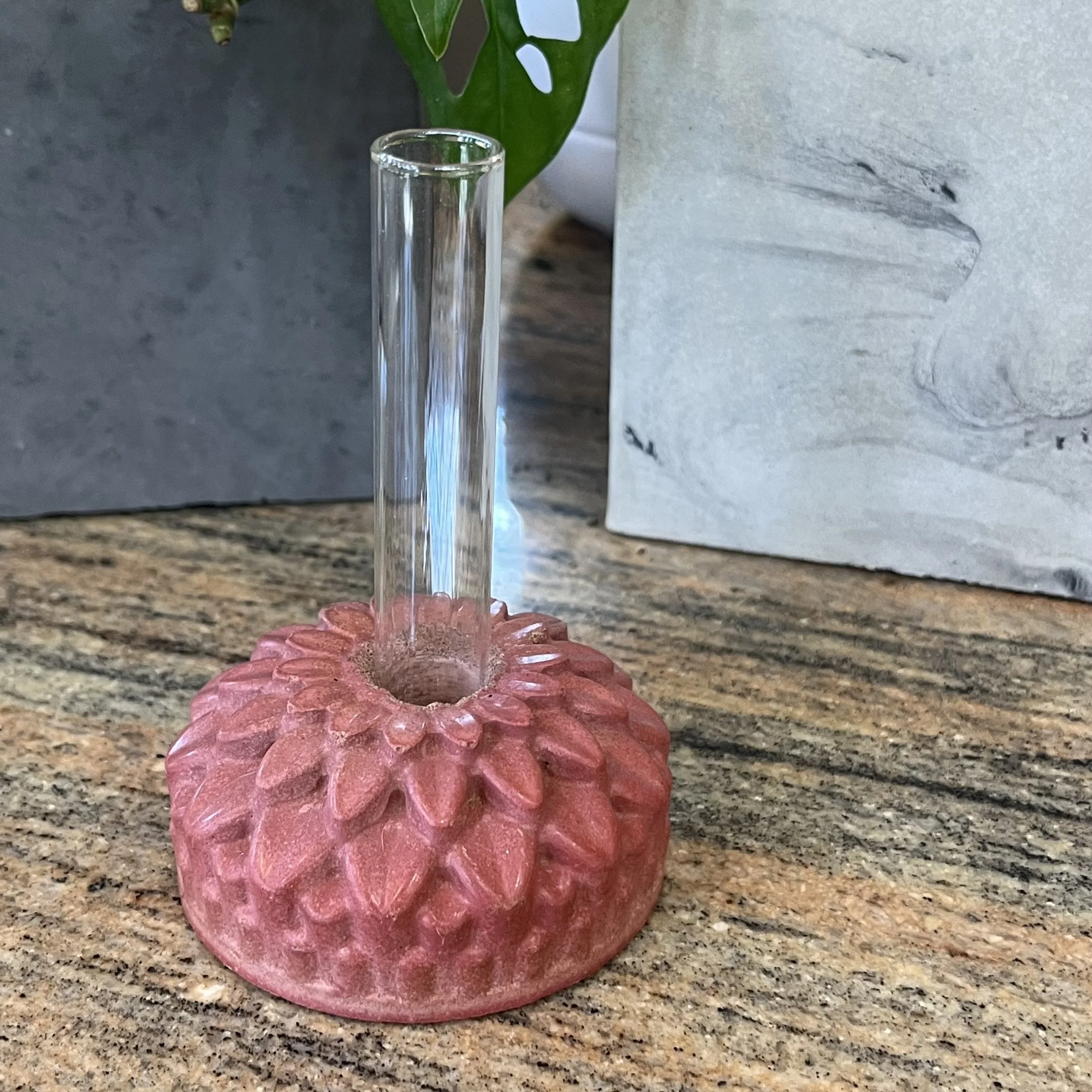 pink concrete zinnia propagation block.jpeg