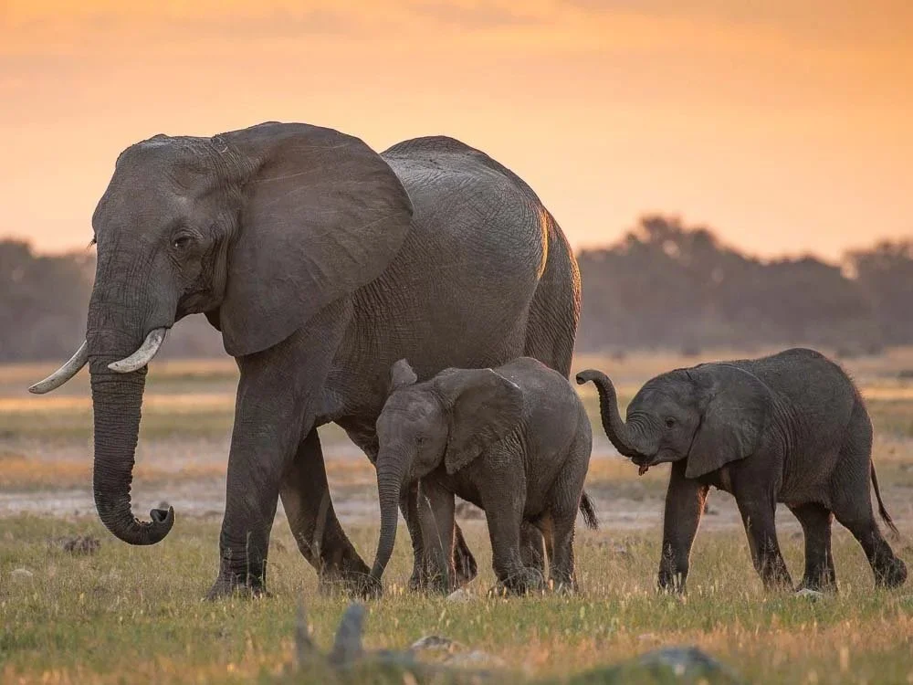 A smiling woman with long, wavy black hair wearing a black and gray long-sleeve shirt with text on the sleeve and a colorful logo on the chest against a white background.