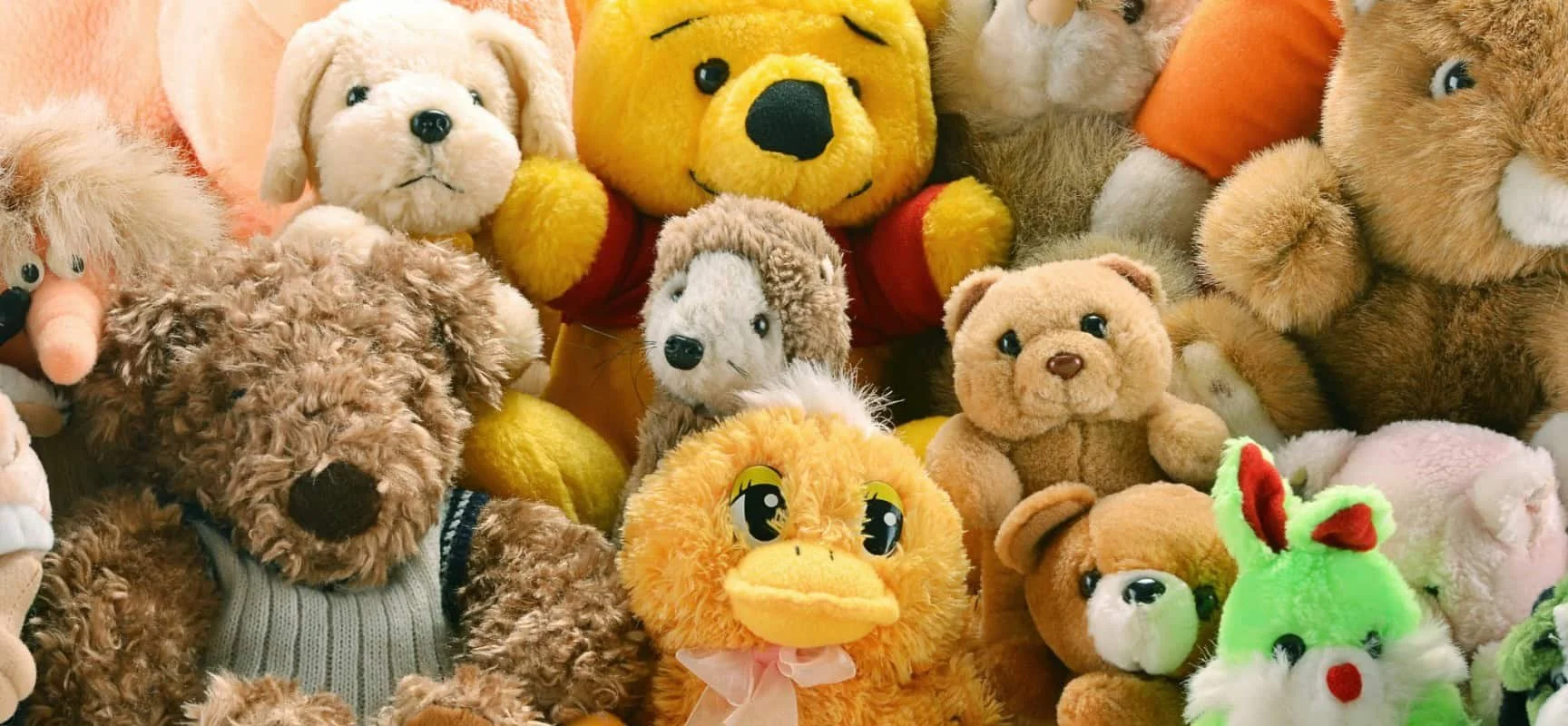 washing-stuffed-animals-1728x800_c.jpg (Copy)