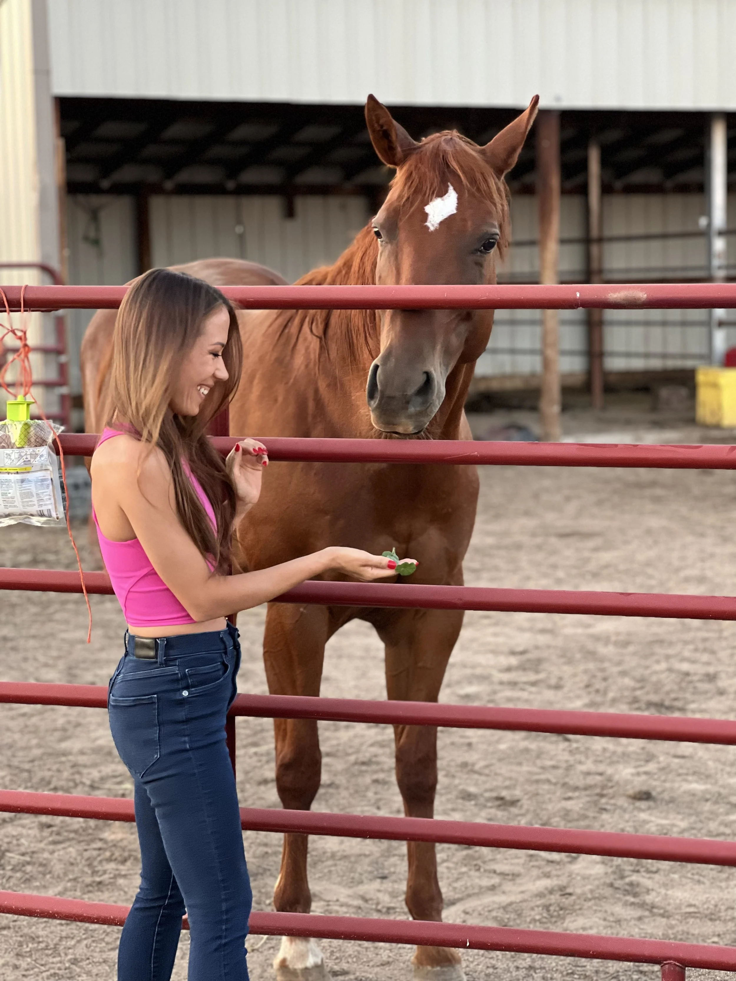 An interior designer and artist who specializes in custom pet portraits in any medium, interior design, wedding paintings, and custom fine art.