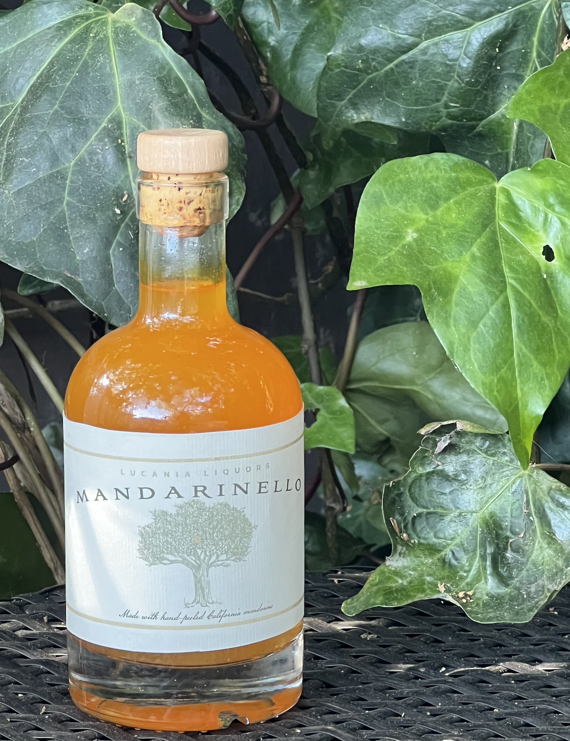 Screen Shot 2022-04-10 at 3.11.27 PM.png