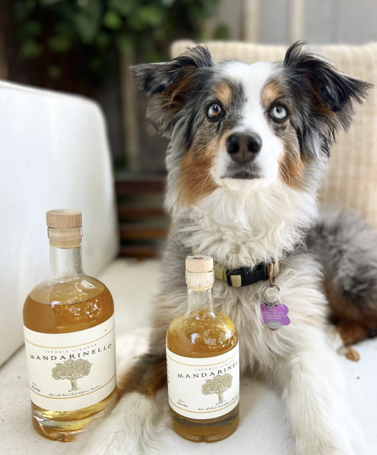 Screenshot 2025-11-08 at 10.50.25 PM.png