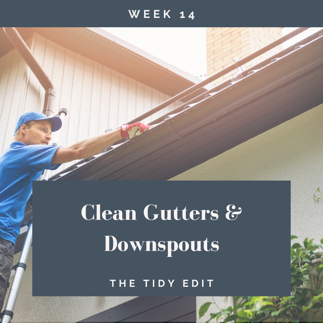 The Tidy Edit: Leaves, Twigs, and Trouble