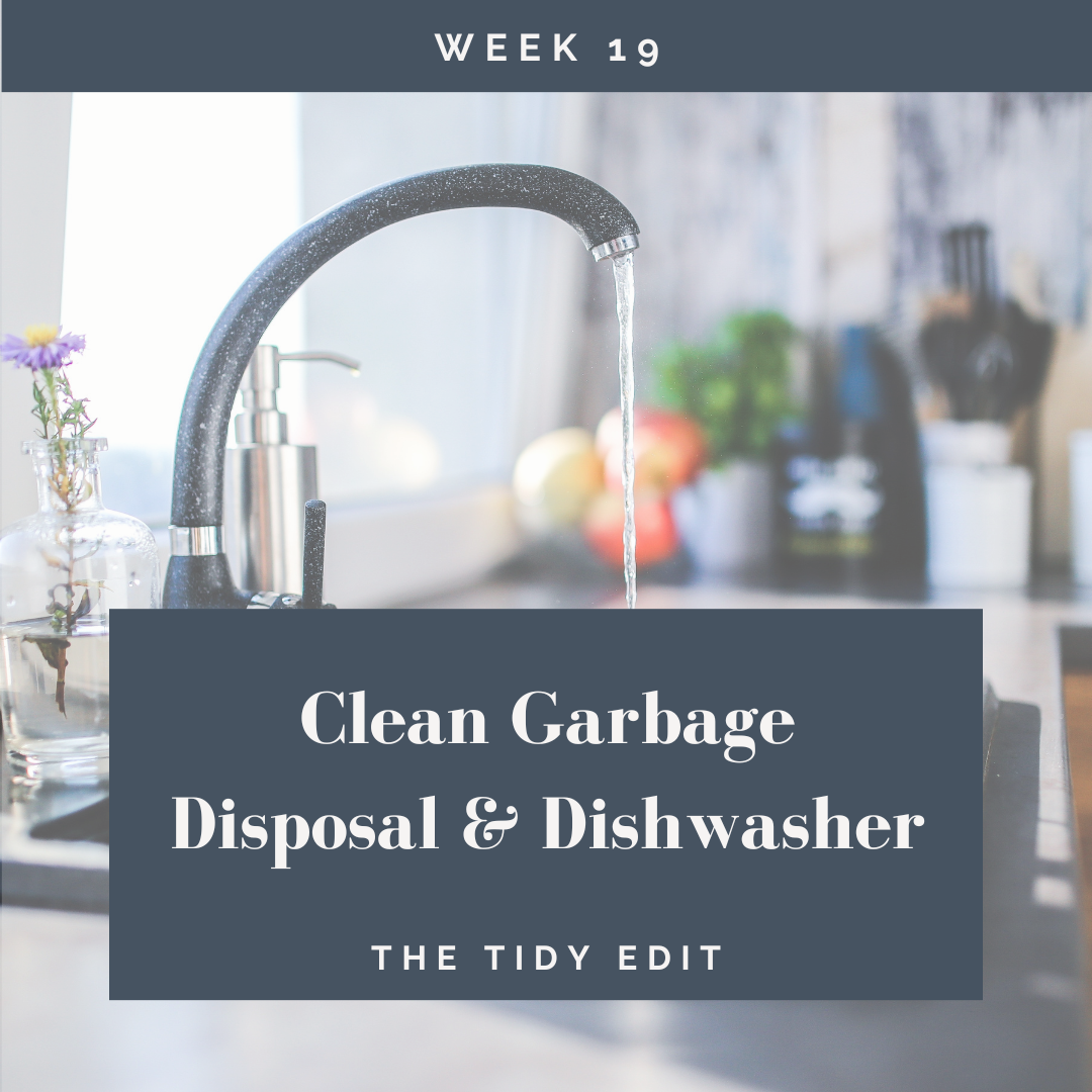The Tidy Edit: Dishwasher & Garbage Disposal, Take Two