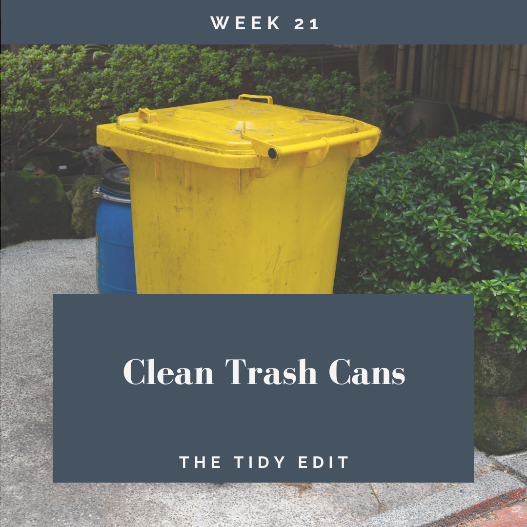 The Tidy Edit: When Your Trash Bins Smell Like Trouble