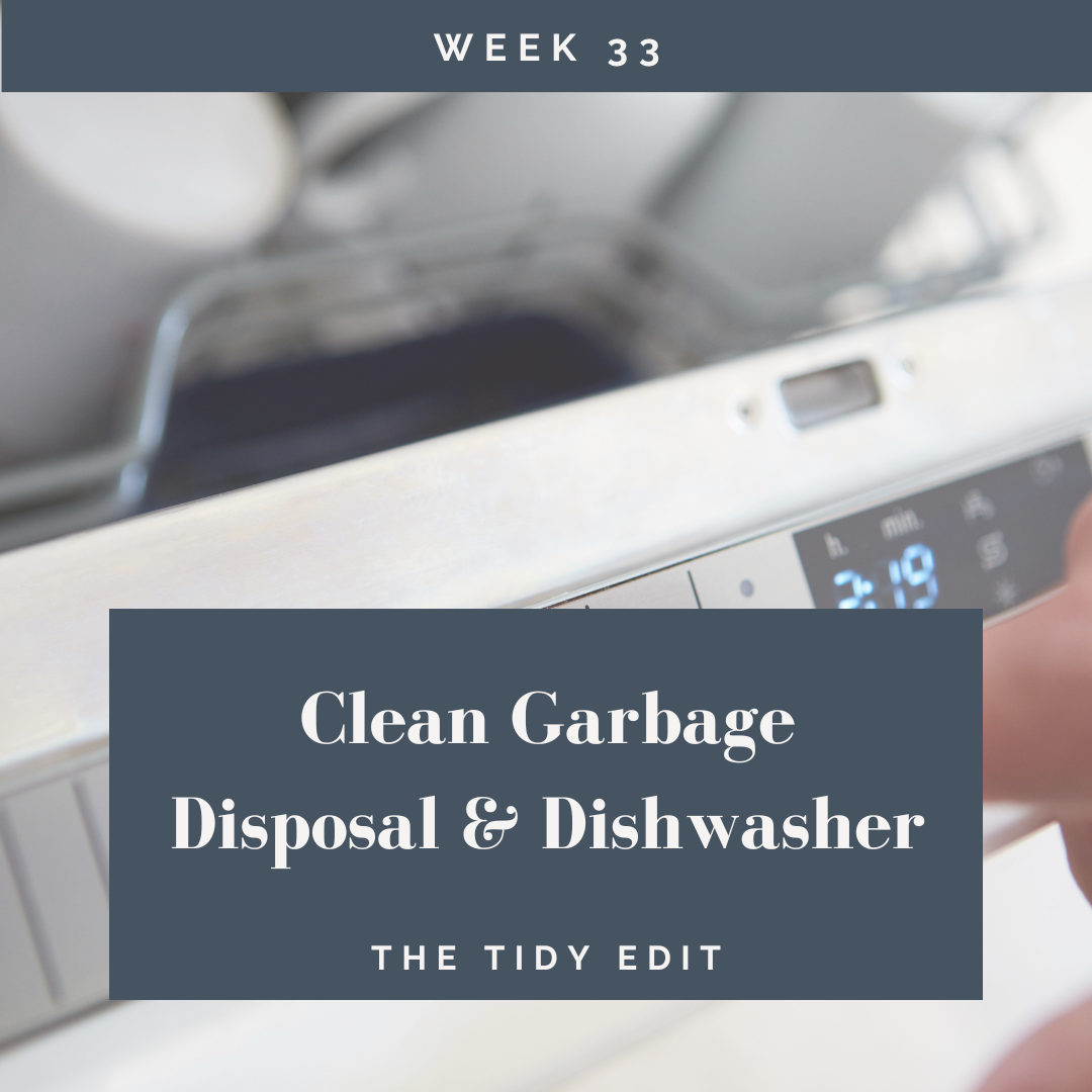 The Tidy Edit: Dishwasher & Disposal Refresh