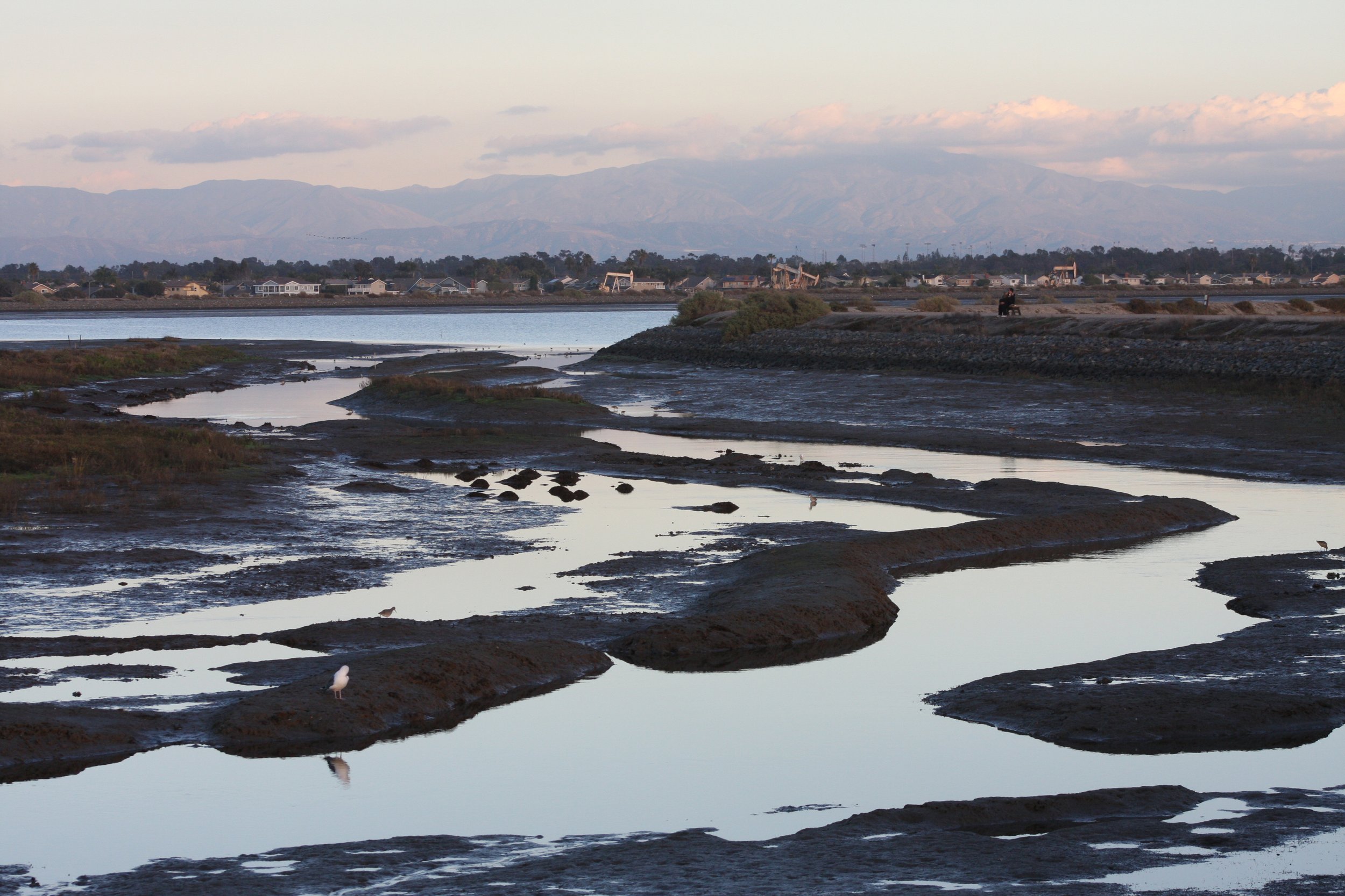 Bolsa Chica and the Coastal Commission