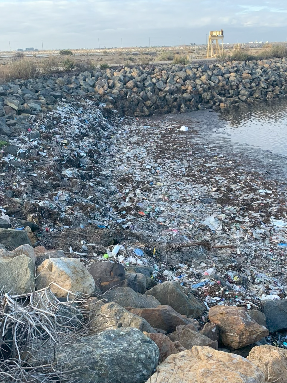 photo of trash in the Bolsa Chica Ecological Reserve