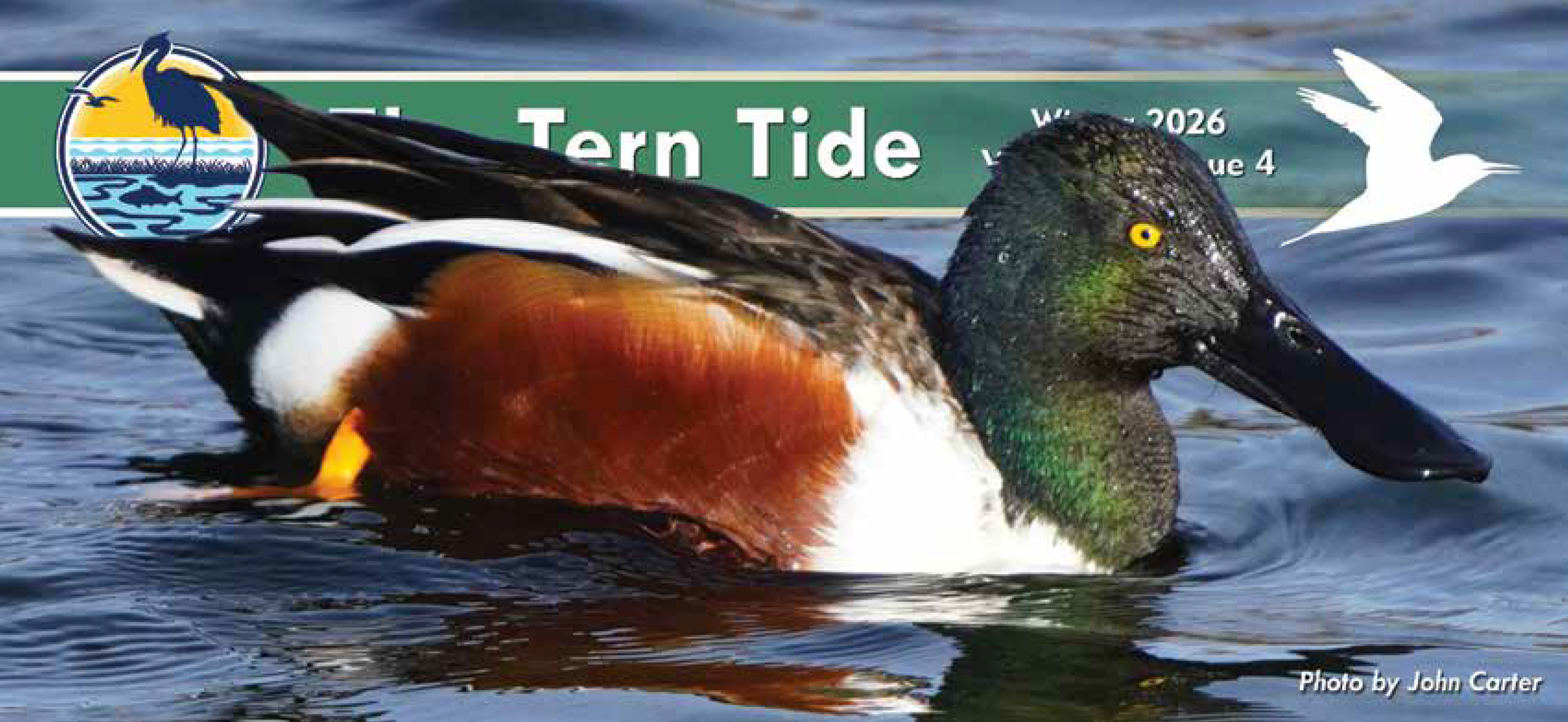 The Tern Tide Fall Volume 49 Issue 4