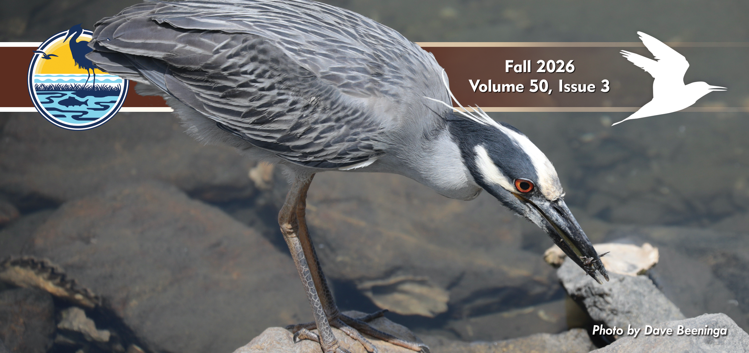 The Tern Tide Fall 2026 Volume 50 Issue 3