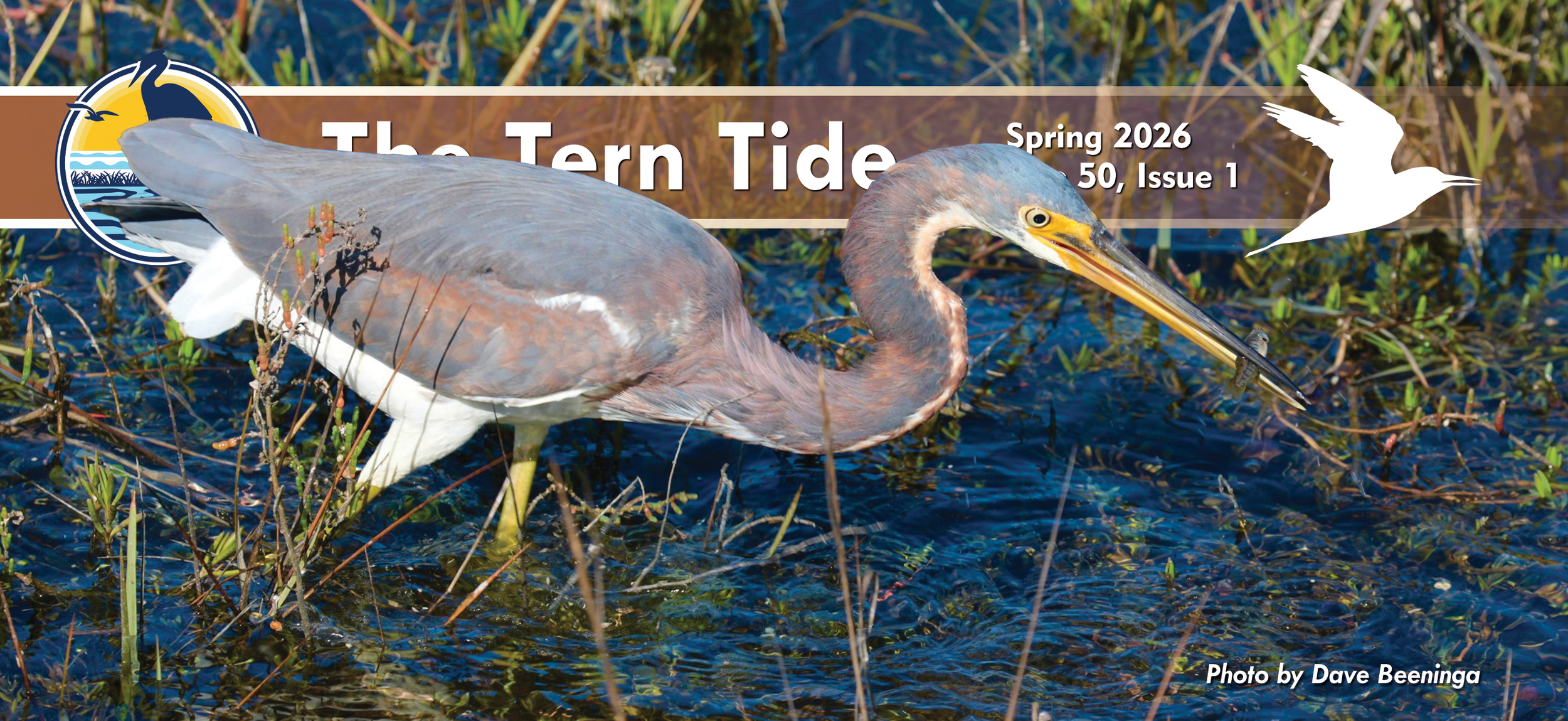 The Tern Tide Fall Volume 50 Issue 1