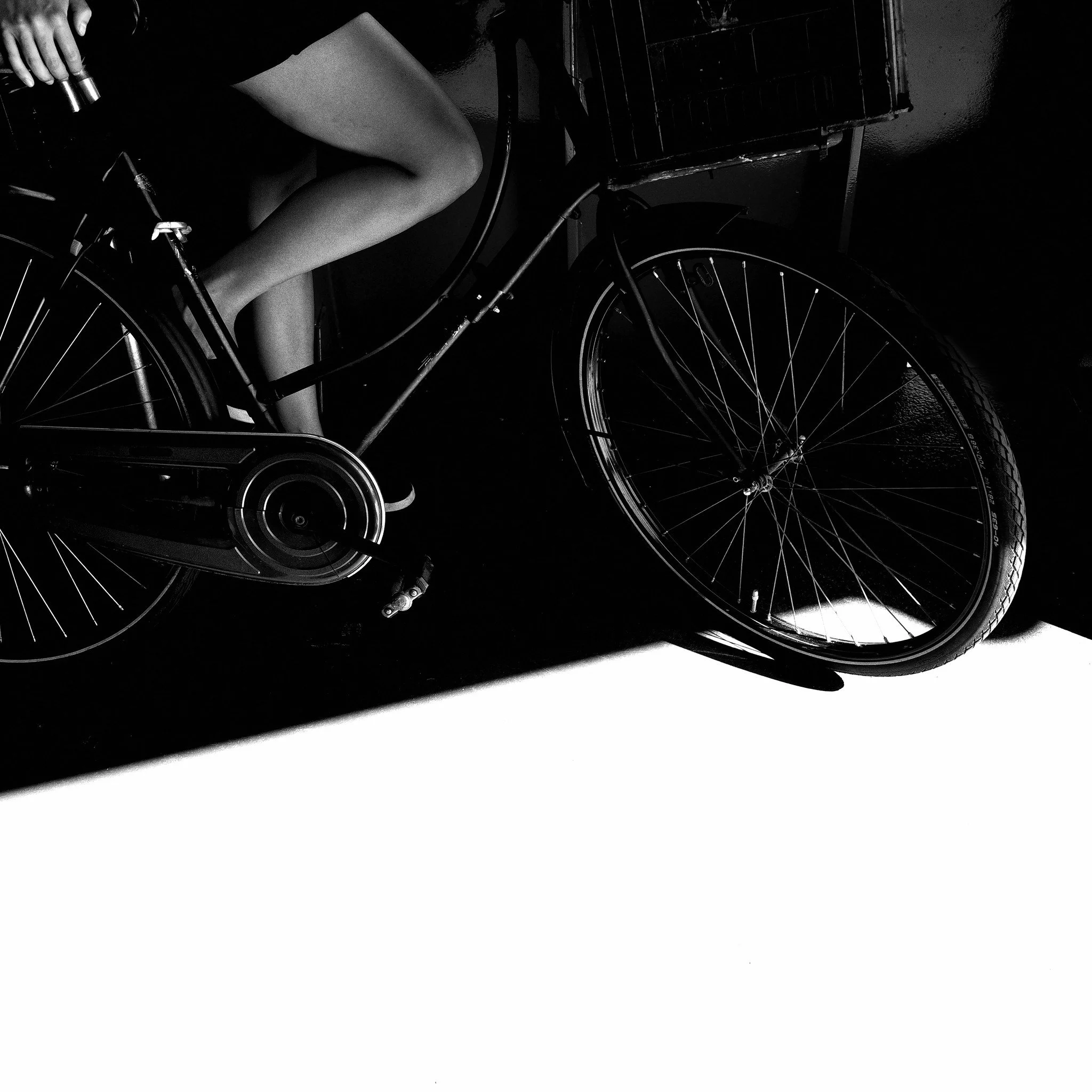 shadows.
