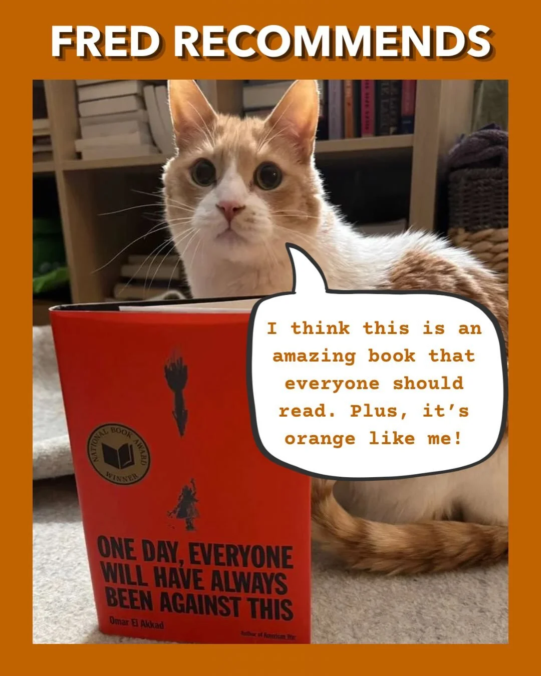 Today we&rsquo;re bringing you some carefully vetted recommendations from our beloved pets. There&rsquo;s so much you can gain from books, like valuable insight from Omar El Akkad or hard-won lessons like not eating bees. We hope you find something n