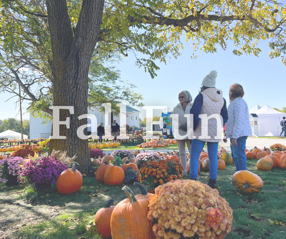 Fall Fun
