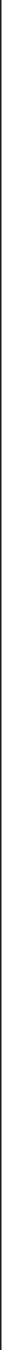 vertical line splitting screen in half, creating a clean grid style appeal