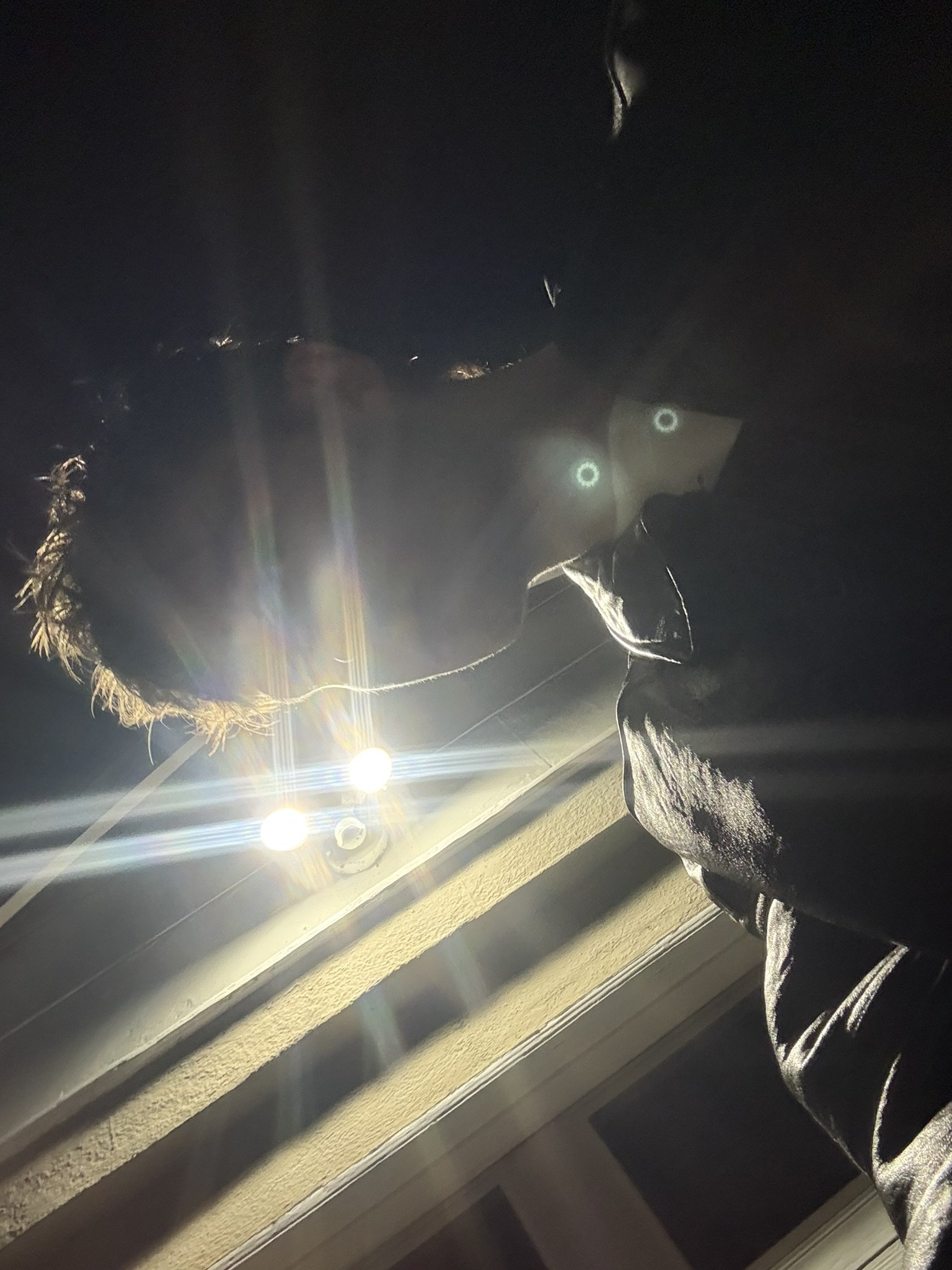 4E9A99DE-4B09-42FD-817C-FD8BC05B8425_1_102_o.jpeg