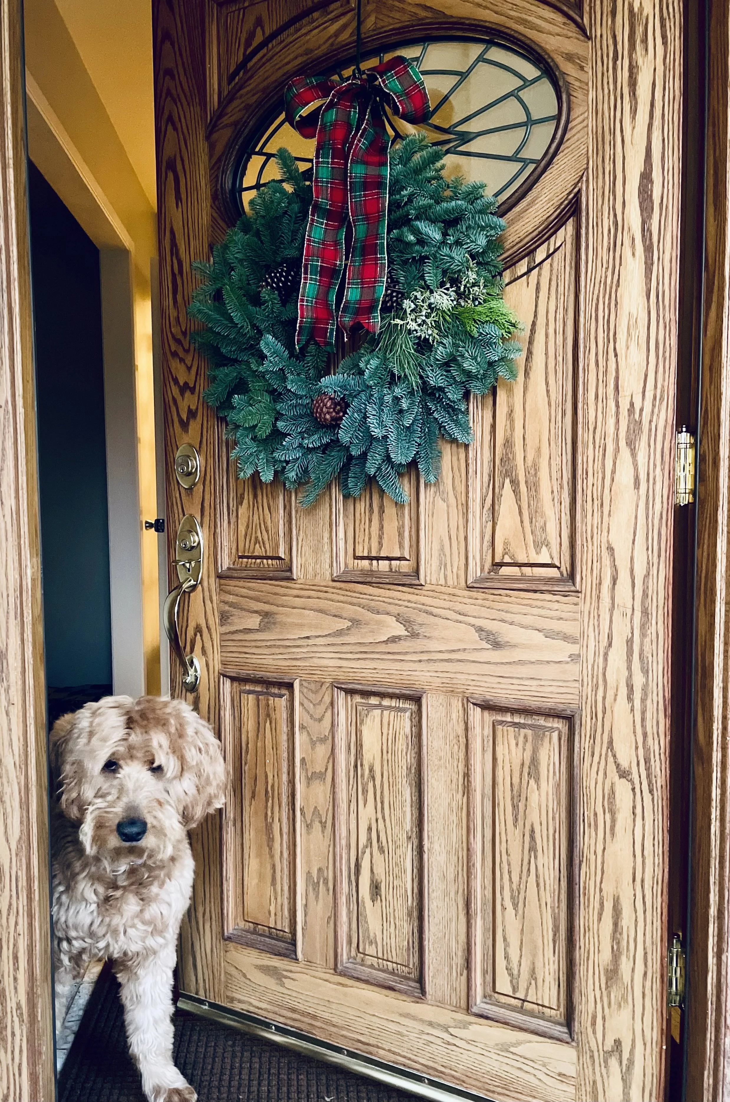 It’s the most wonderful time of the year!