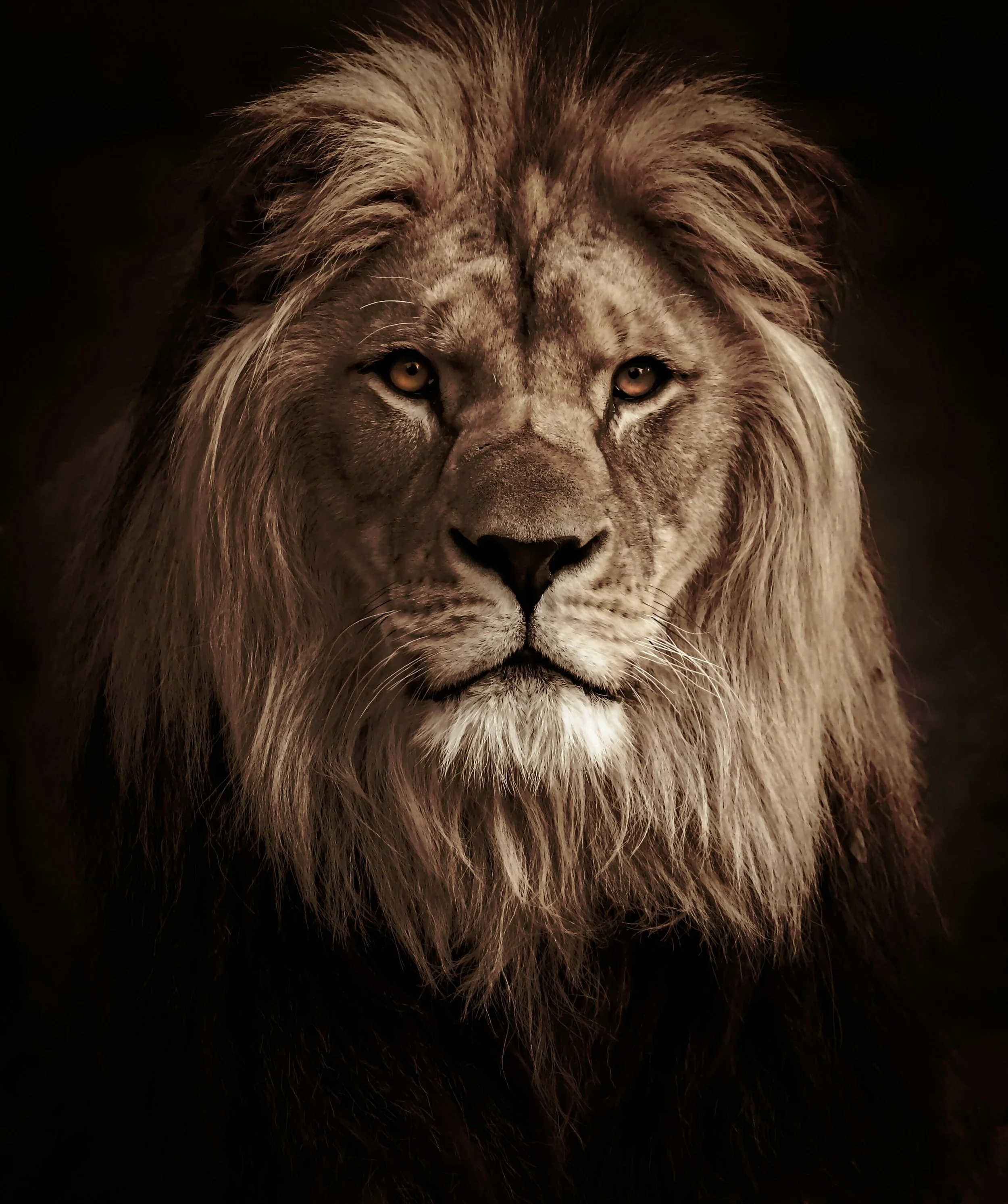 Leo Through the Lens of Evolutionary Astrology