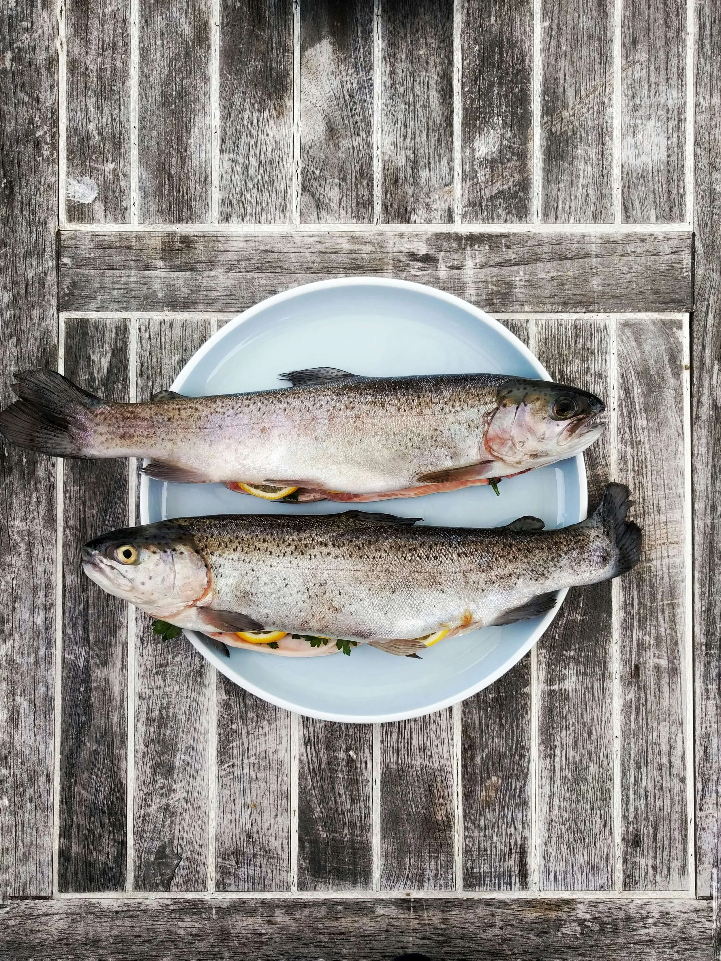 Pisces Through the Lens of Evolutionary Astrology