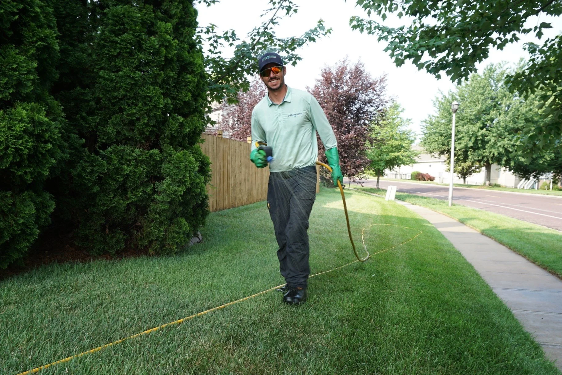 Weed Control Services — DreamLawn